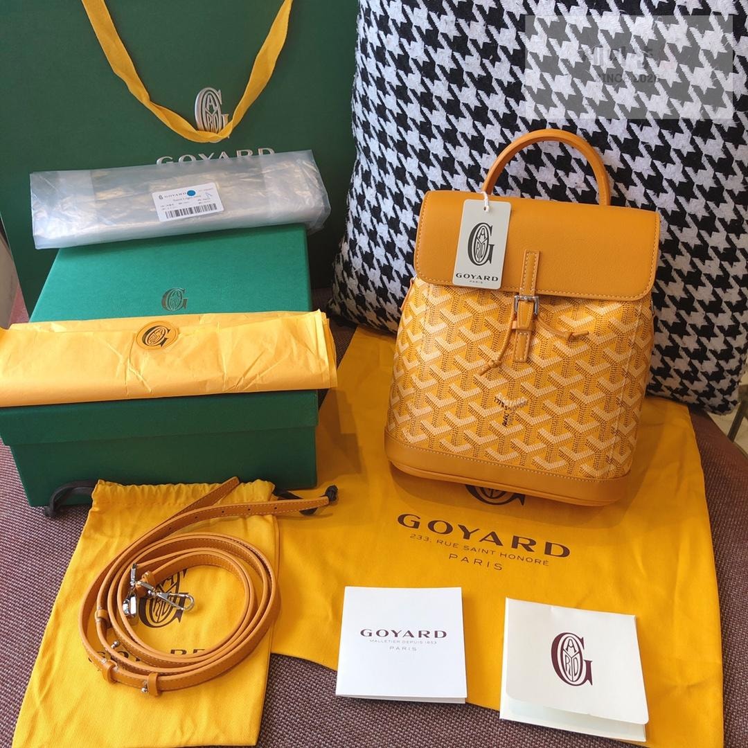 G O Y A R D Goyard Alpin Mini Bag 38번 이미지