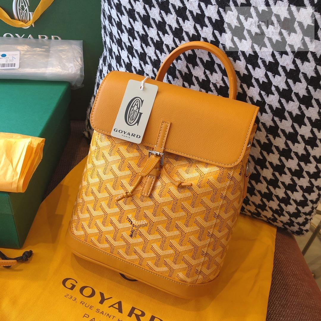 G O Y A R D Goyard Alpin Mini Bag 39번 이미지