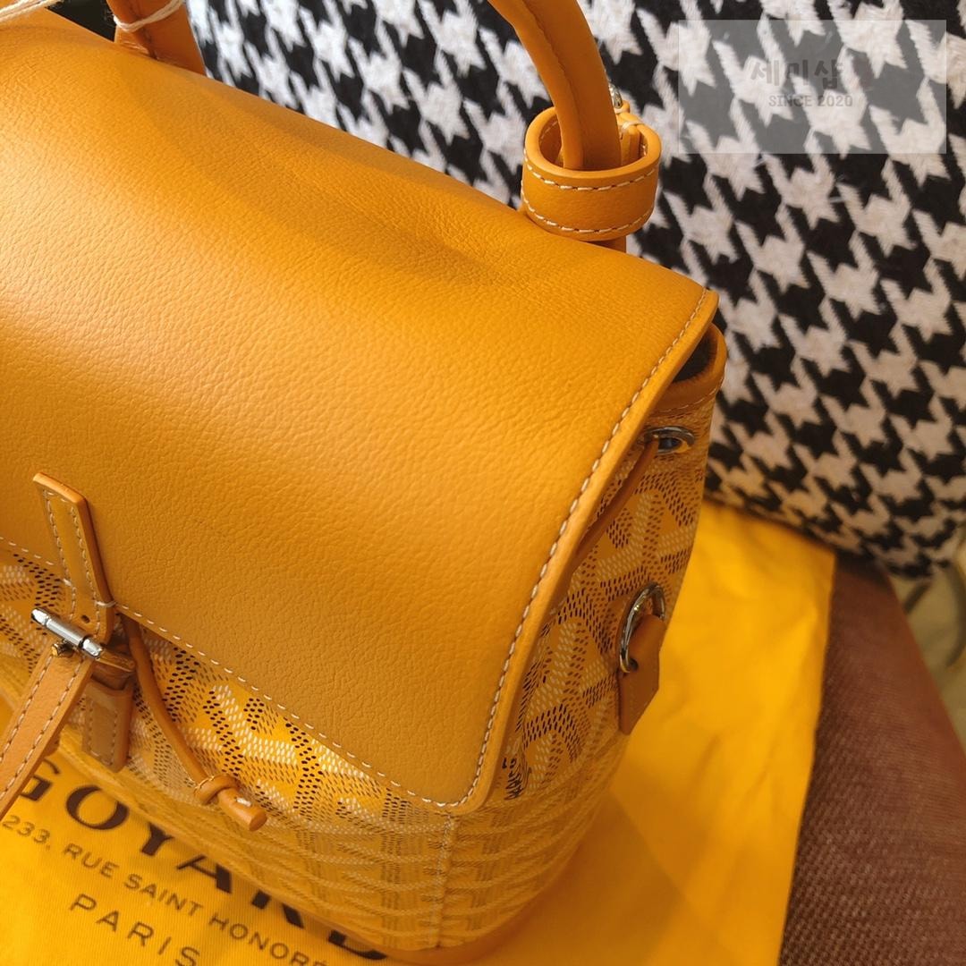 G O Y A R D Goyard Alpin Mini Bag 42번 이미지