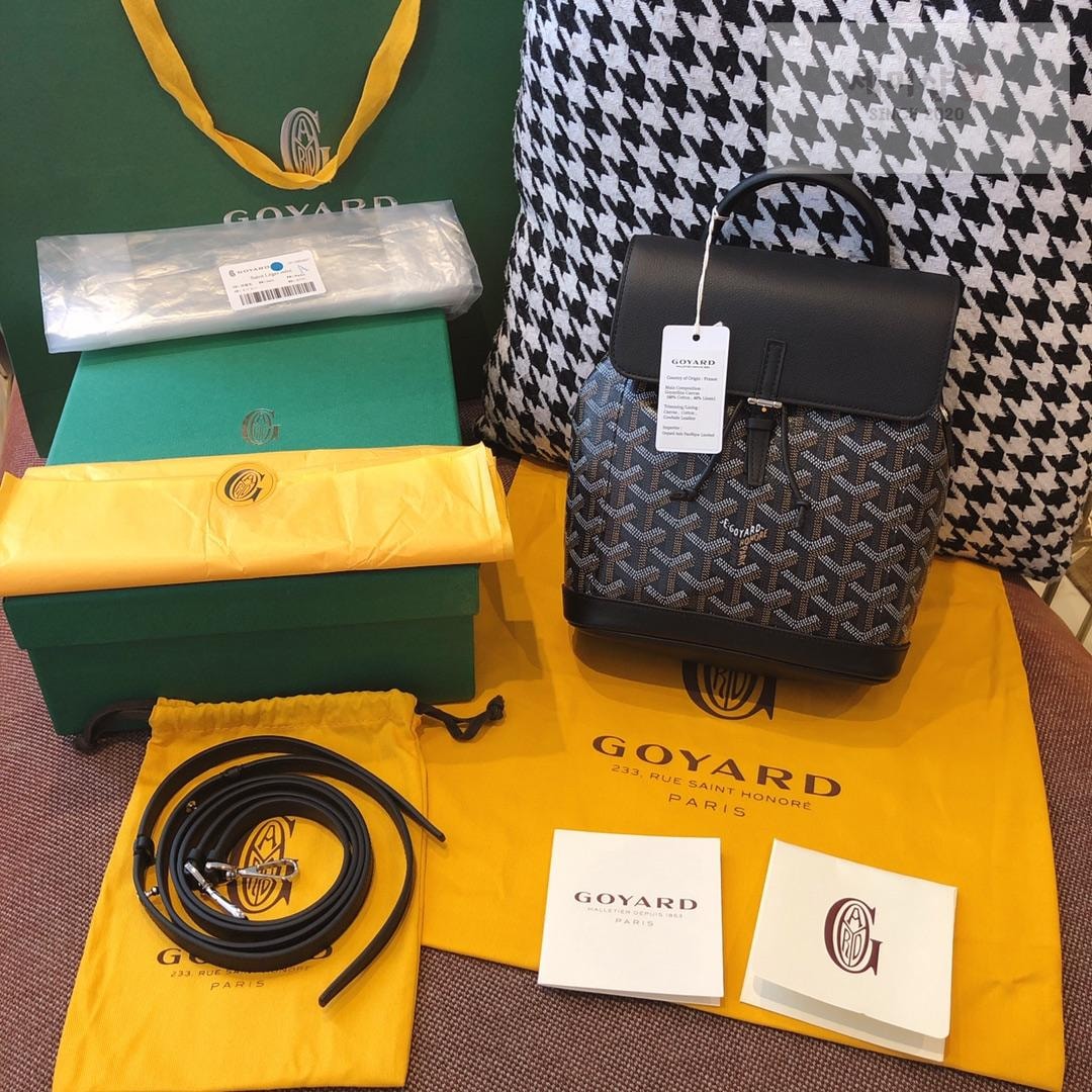 G O Y A R D Goyard Alpin Mini Bag 45번 이미지
