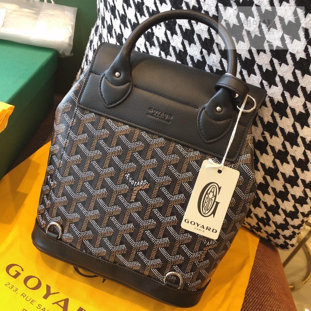 G O Y A R D Goyard Alpin Mini Bag 53번 이미지