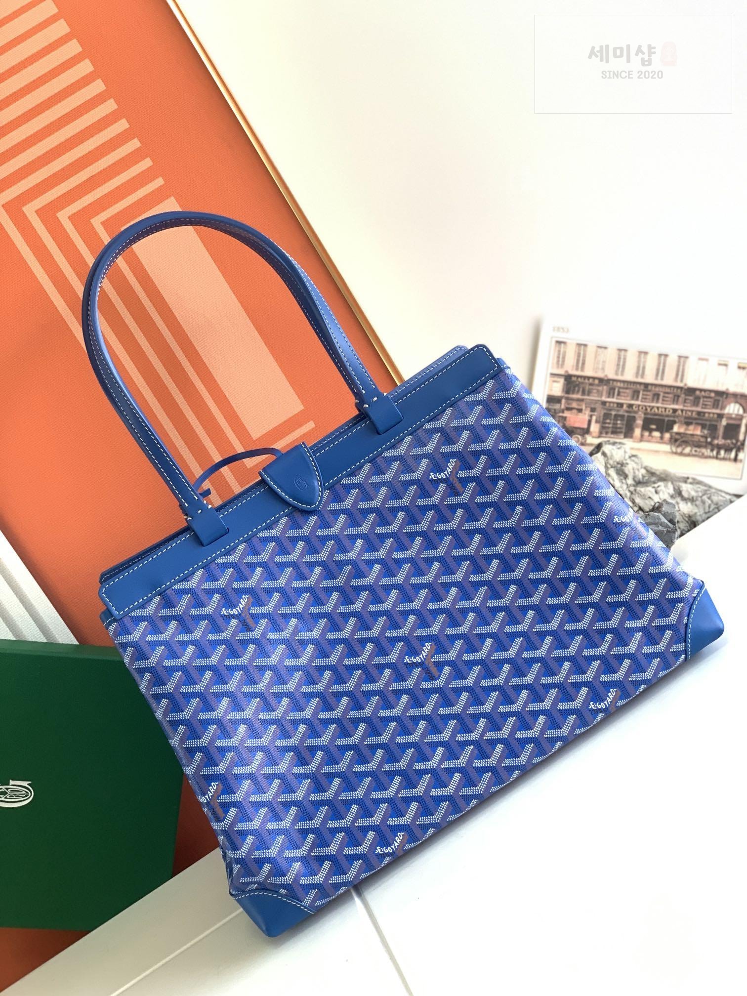 G O Y A R D Goyard Bellechasse Vieux Bag 1번 이미지