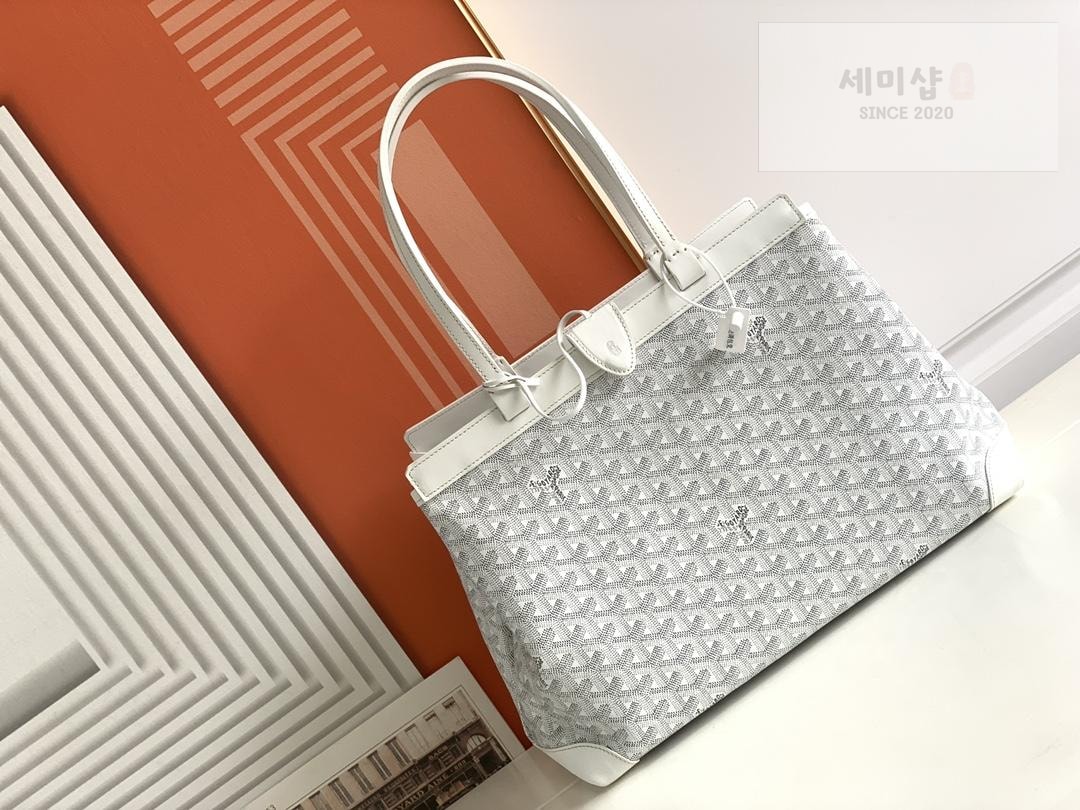 G O Y A R D Goyard Bellechasse Vieux Bag 29번 이미지