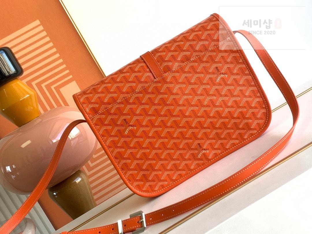 G O Y A R D Goyard Belvedere MM Bag 40번 이미지