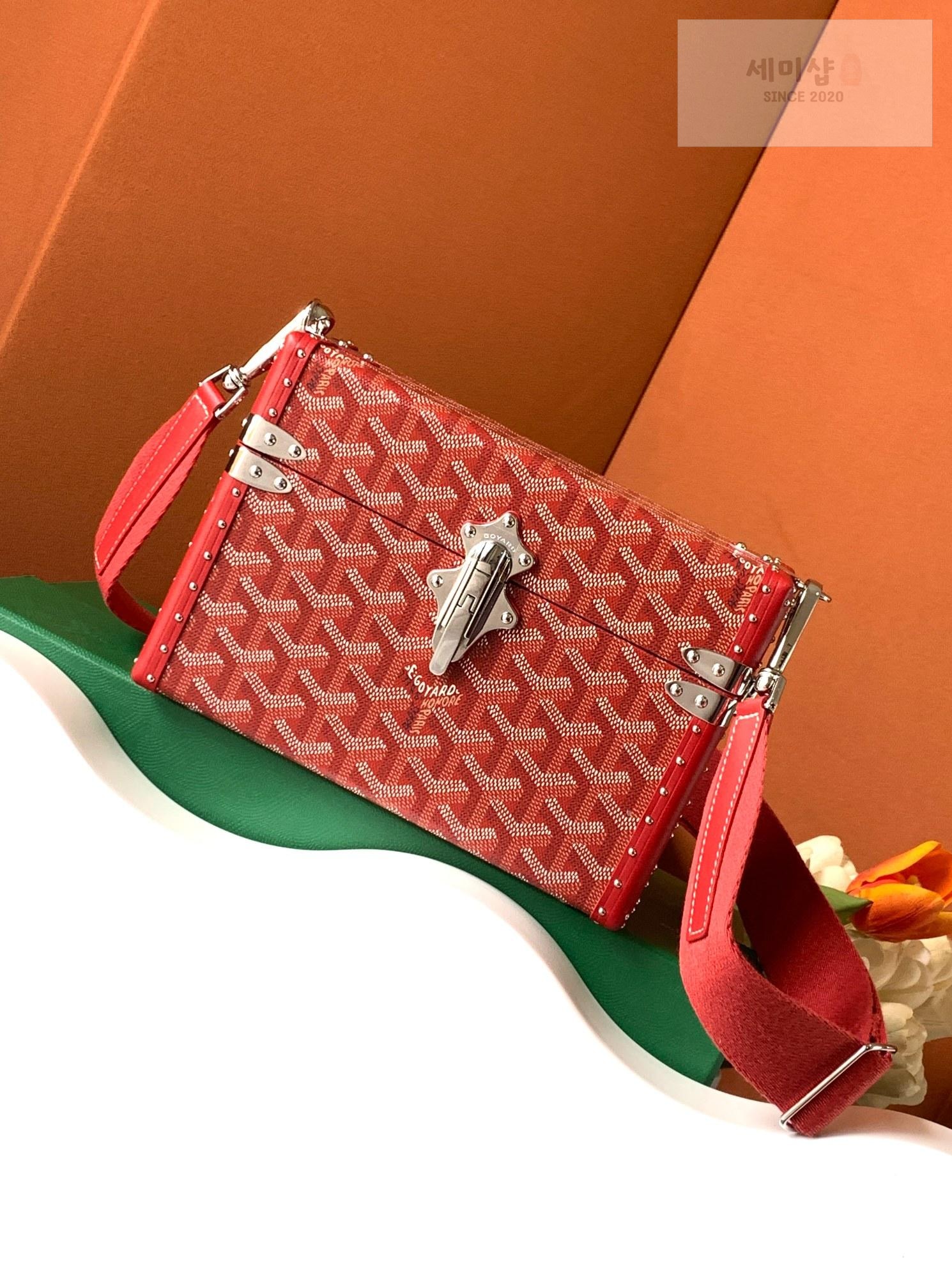 G O Y A R D Goyard Cassette Trunk Bag 15번 이미지