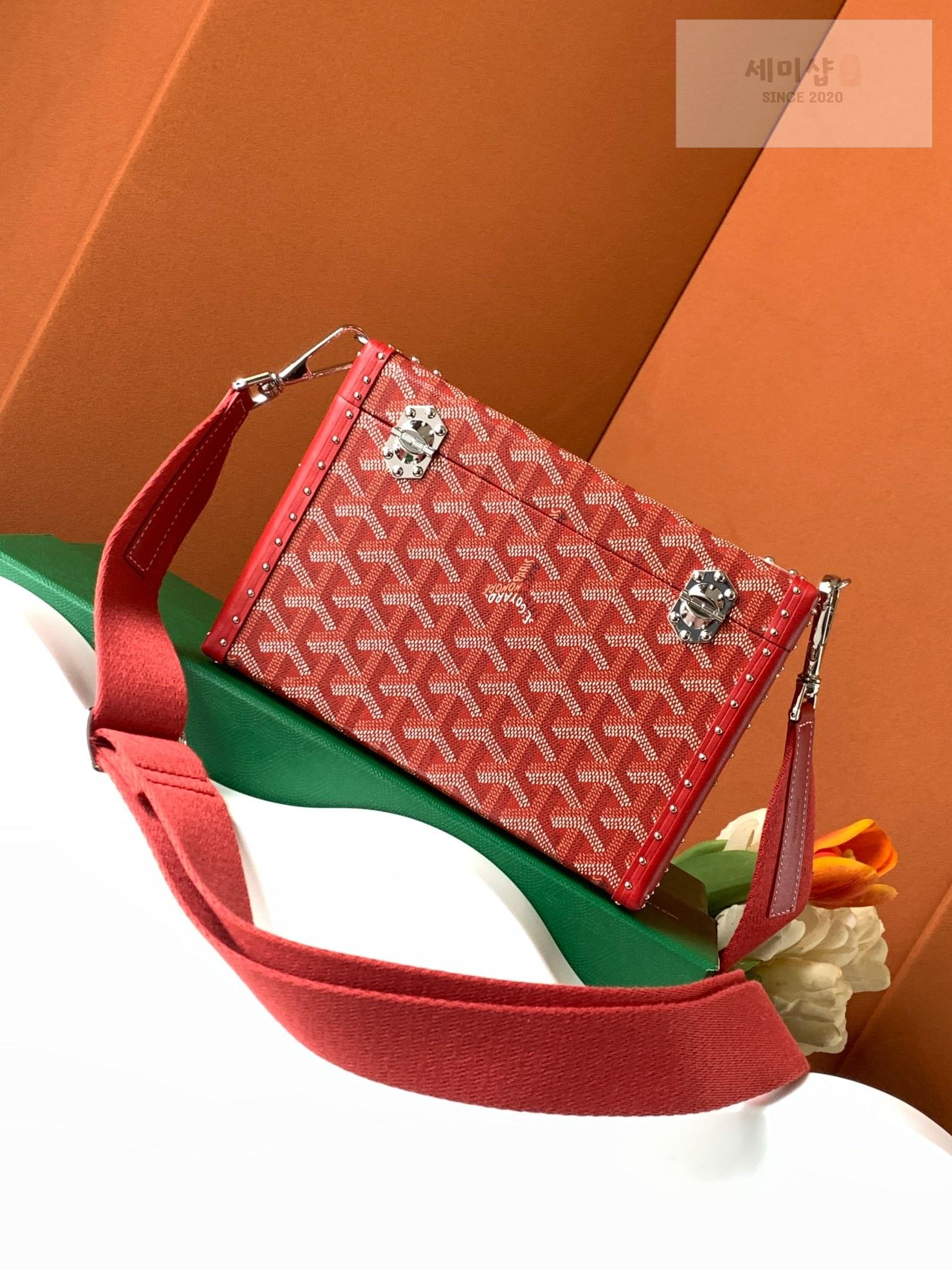 G O Y A R D Goyard Cassette Trunk Bag 16번 이미지