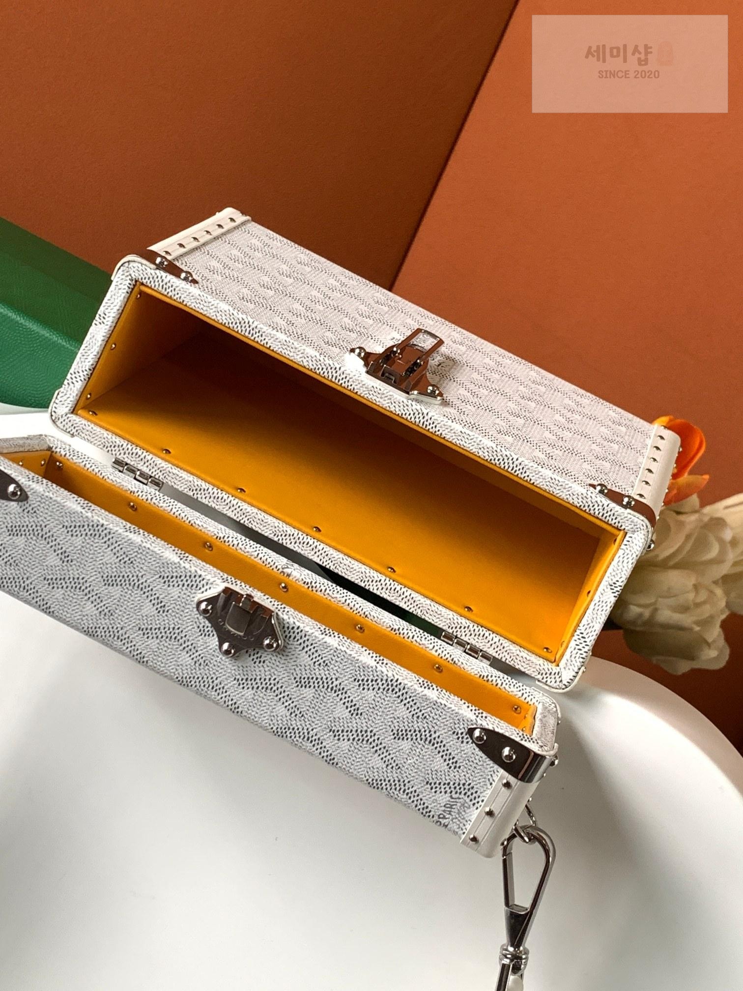 G O Y A R D Goyard Cassette Trunk Bag 34번 이미지