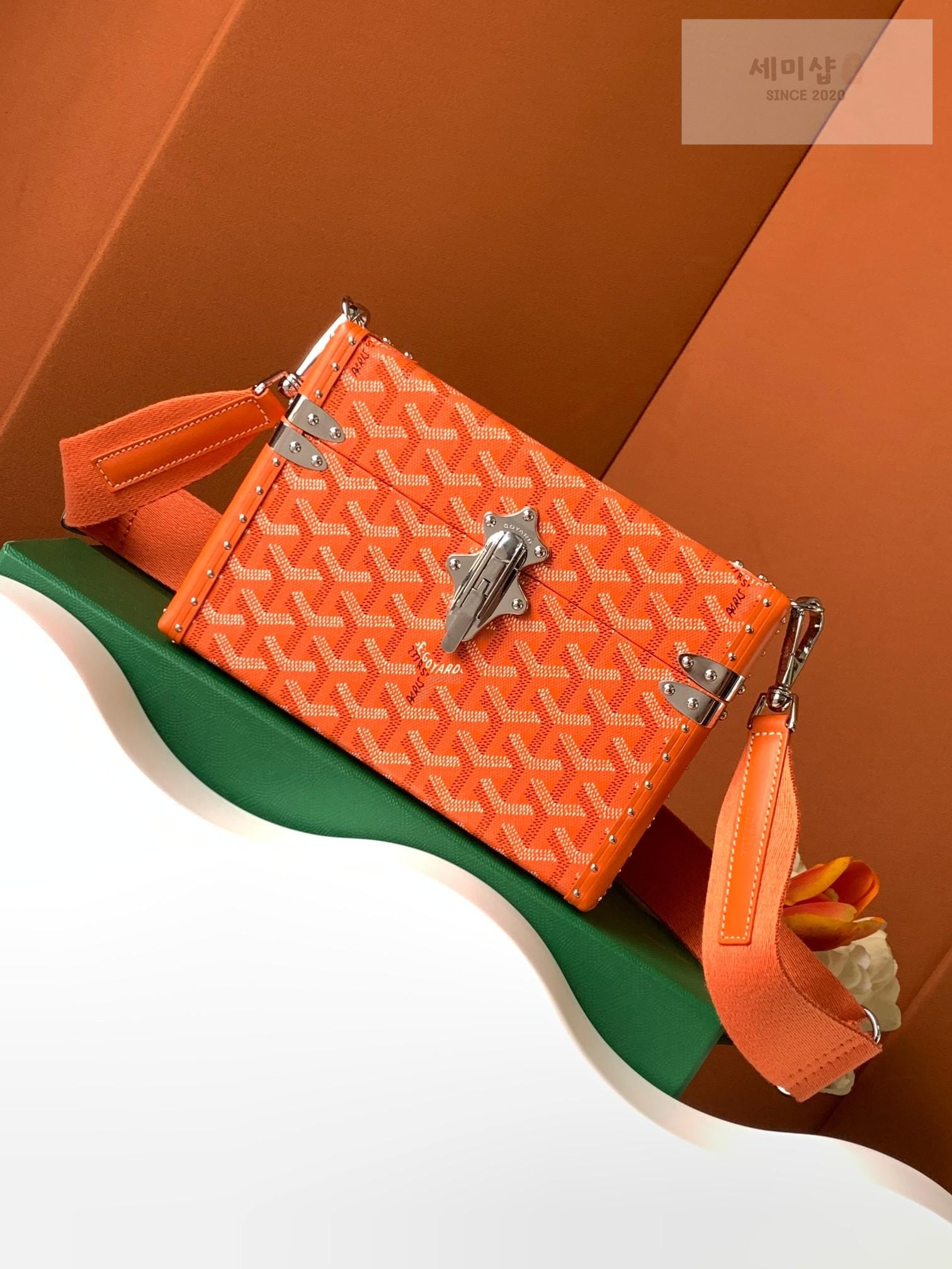 G O Y A R D Goyard Cassette Trunk Bag 49번 이미지