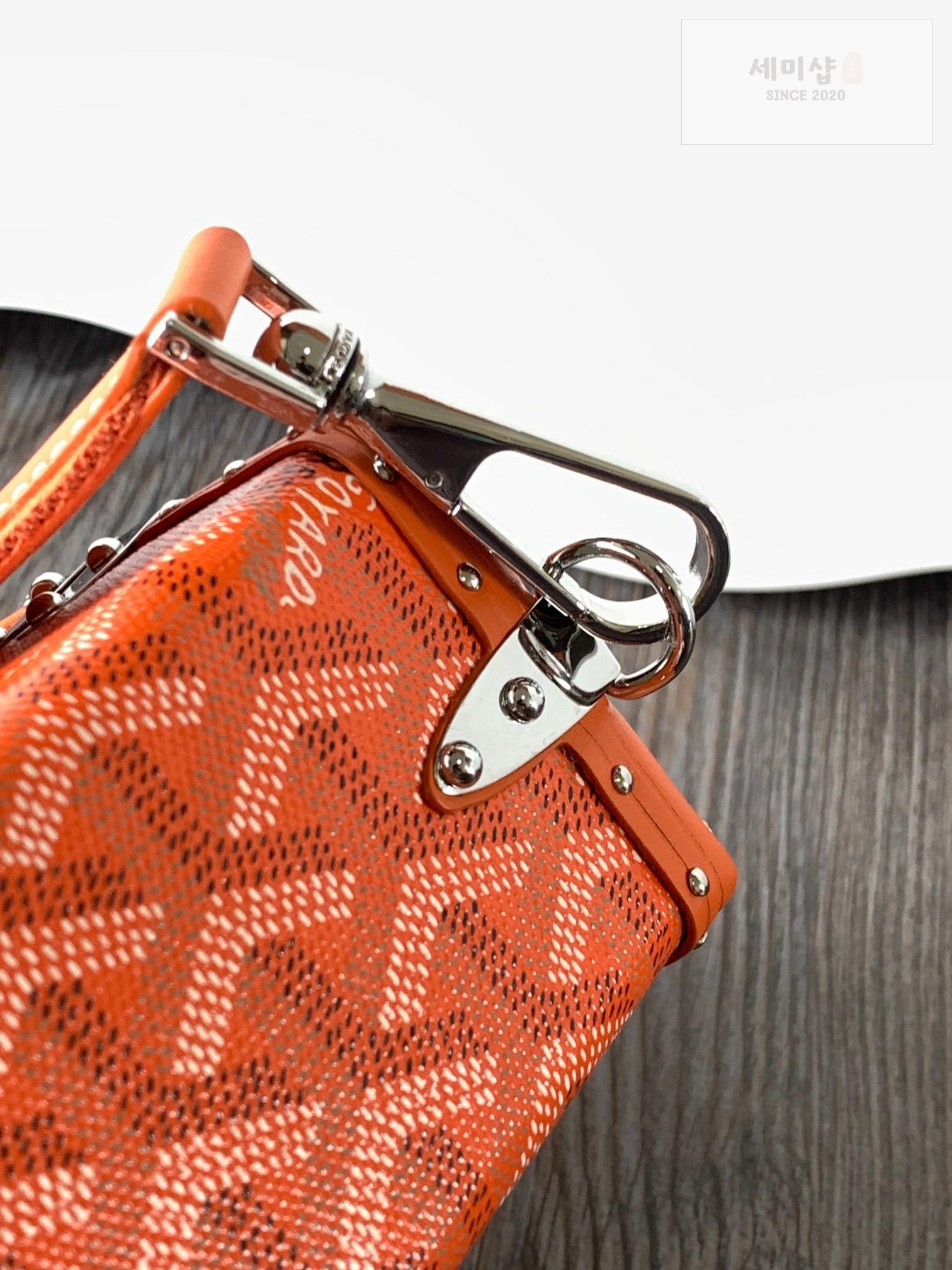 G O Y A R D Goyard Cassette Trunk Bag 53번 이미지