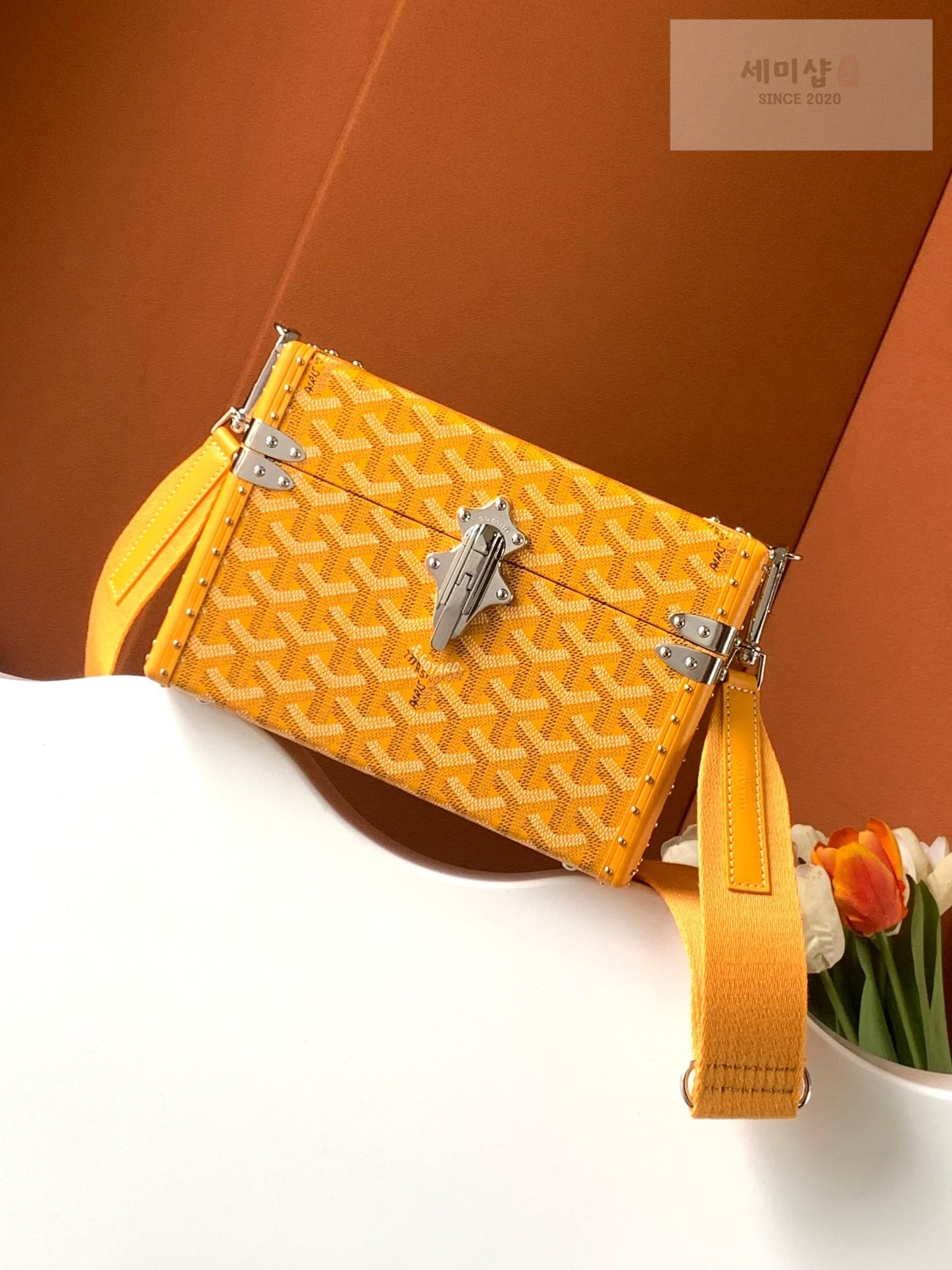 G O Y A R D Goyard Cassette Trunk Bag 57번 이미지