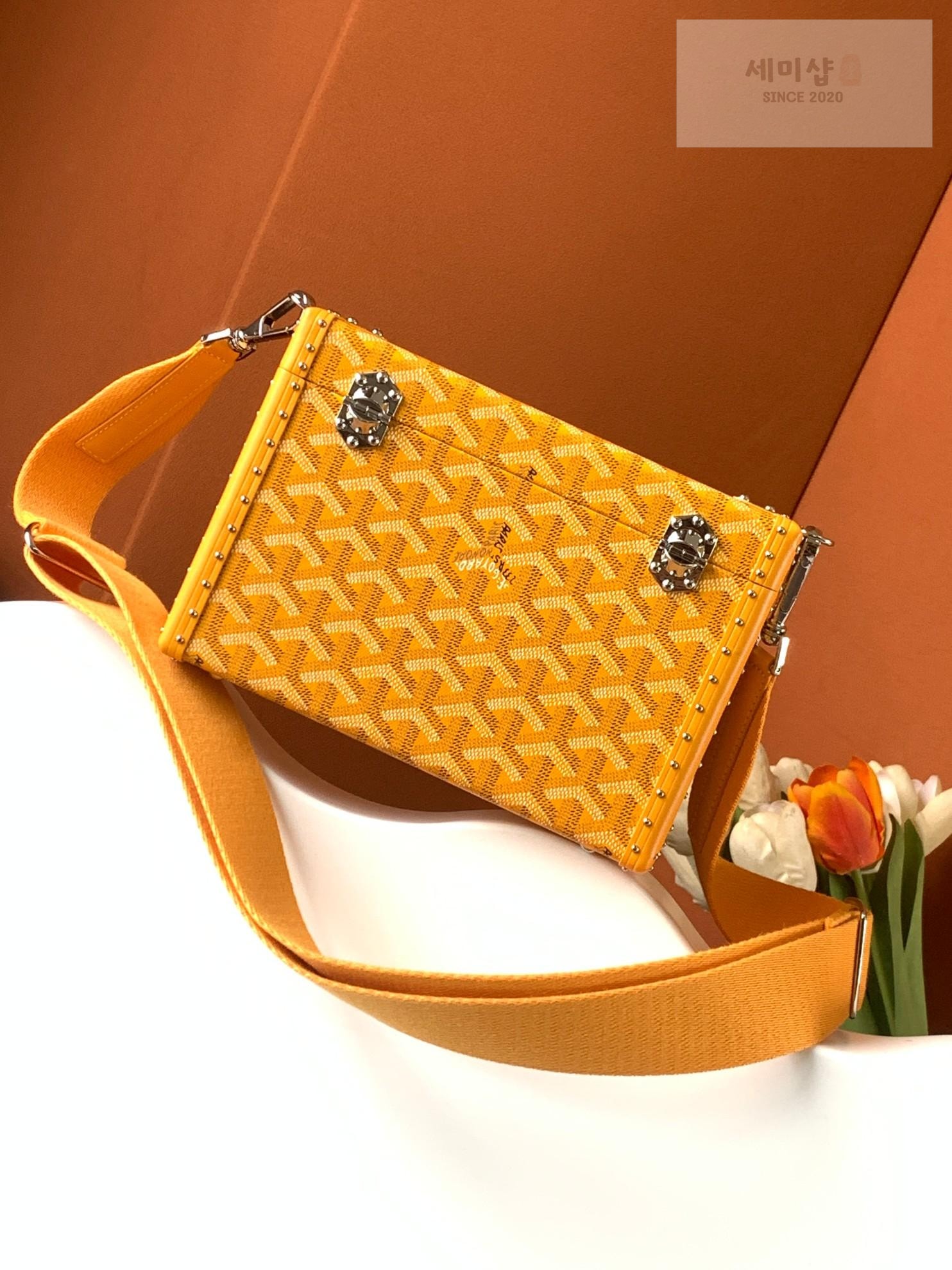 G O Y A R D Goyard Cassette Trunk Bag 58번 이미지