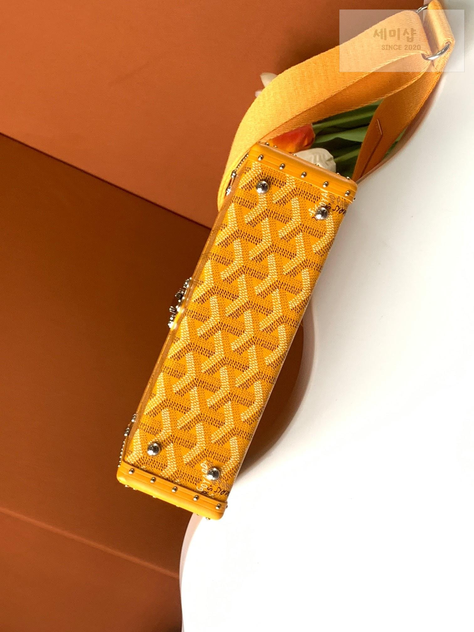 G O Y A R D Goyard Cassette Trunk Bag 59번 이미지