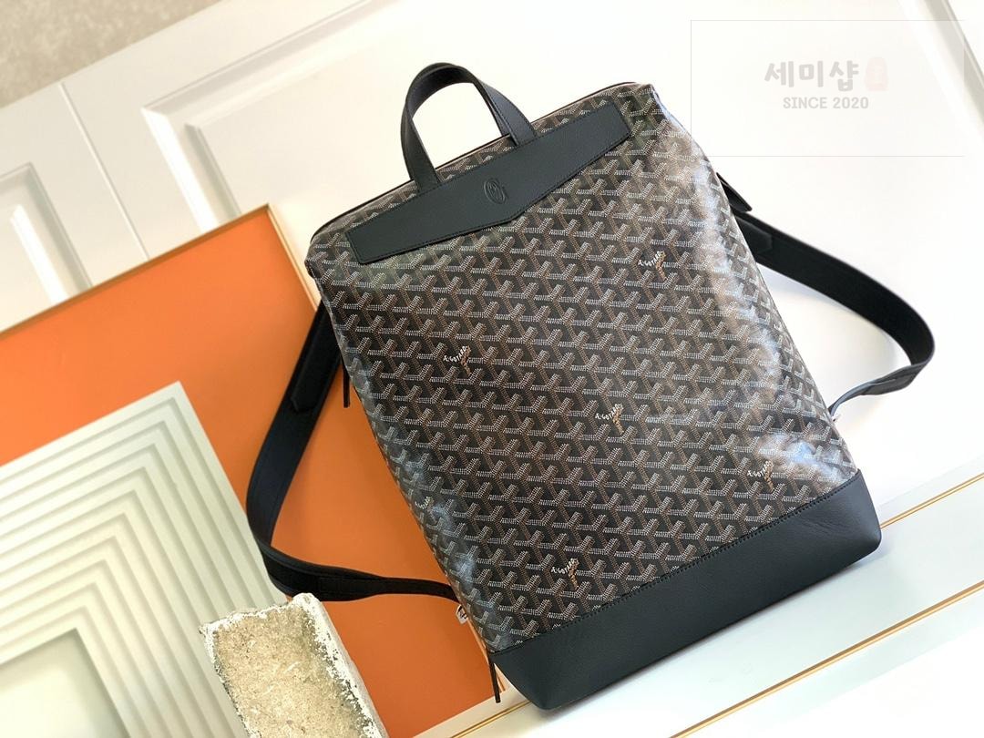 G O Y A R D Goyard Cisalpin BackPack Bag 9번 이미지