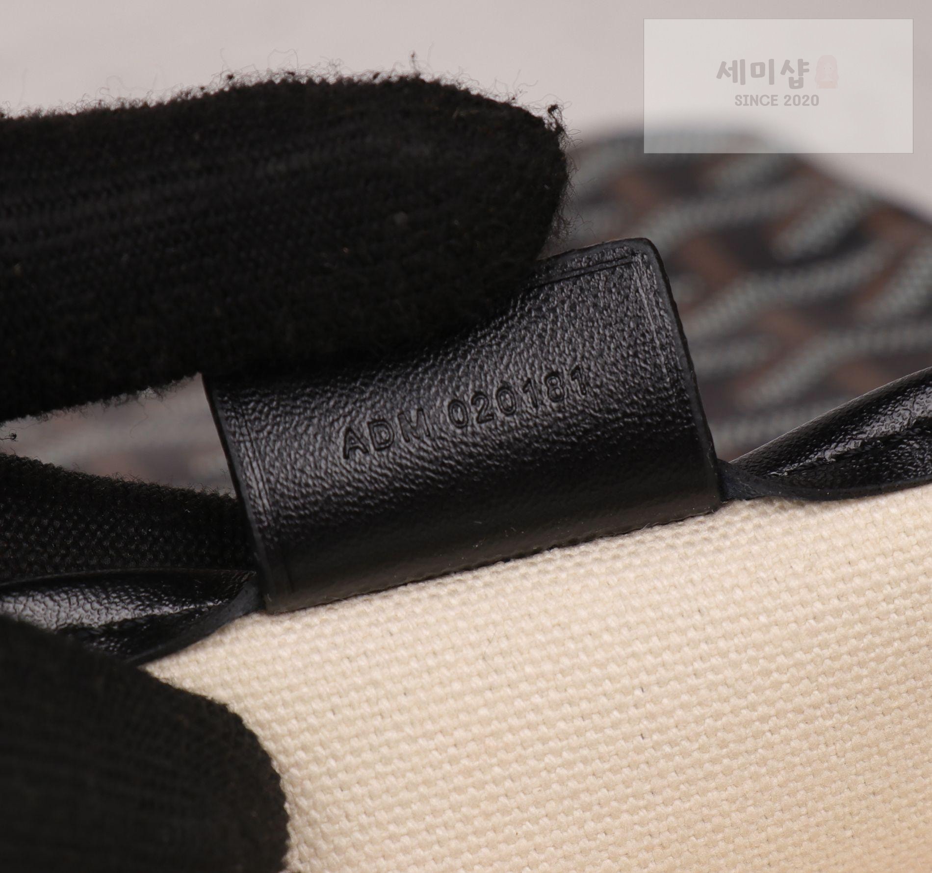 G O Y A R D Goyard Poitiers Bag 9번 이미지