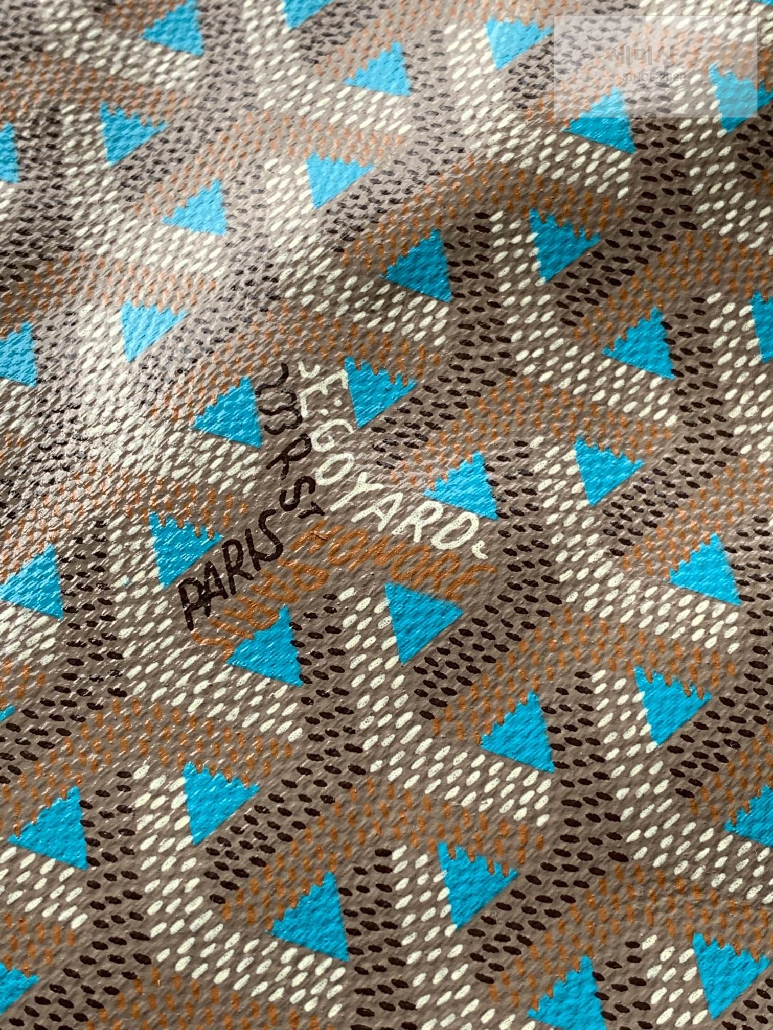 G O Y A R D Goyard Poitiers Bicolro Edition Bag 4번 이미지
