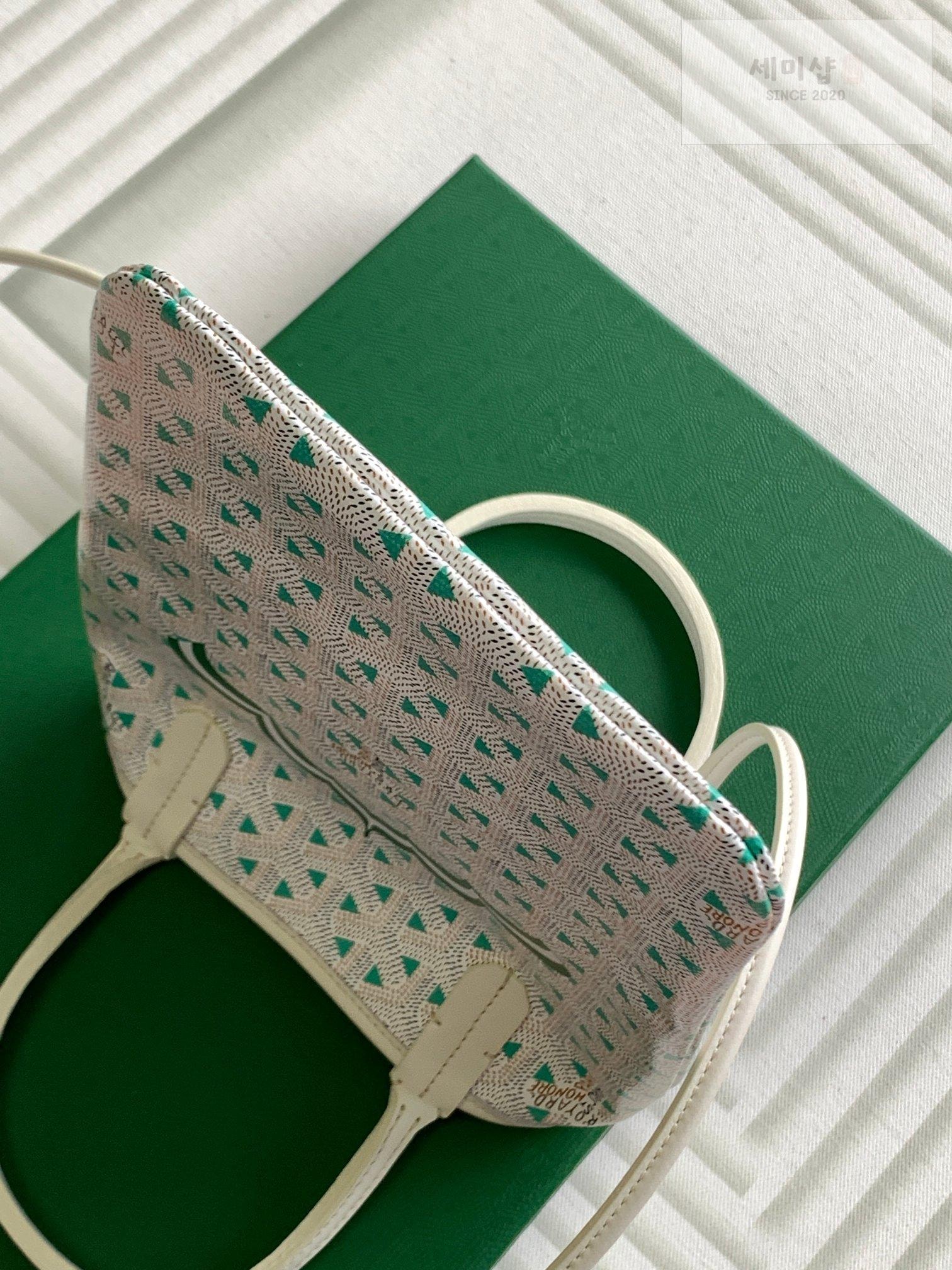 G O Y A R D Goyard Poitiers Bicolro Edition Bag 37번 이미지