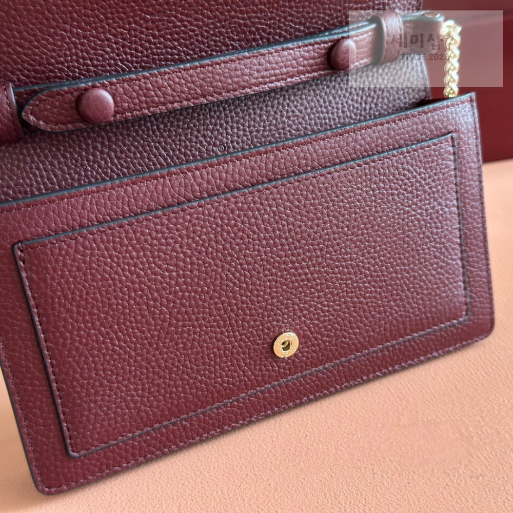 Gucci Gucci Dionysus Wallet On Chain Bag 21번 이미지