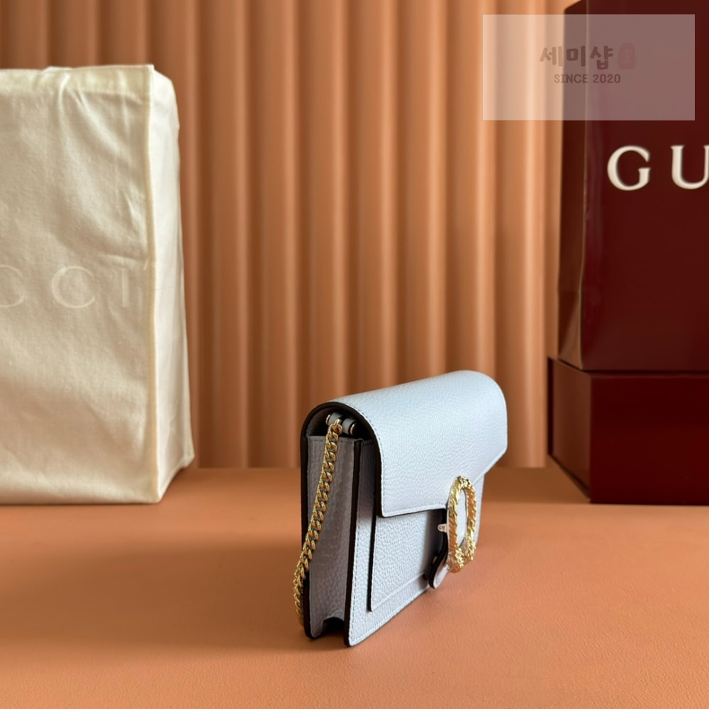 Gucci Gucci Dionysus Wallet On Chain Bag 24번 이미지