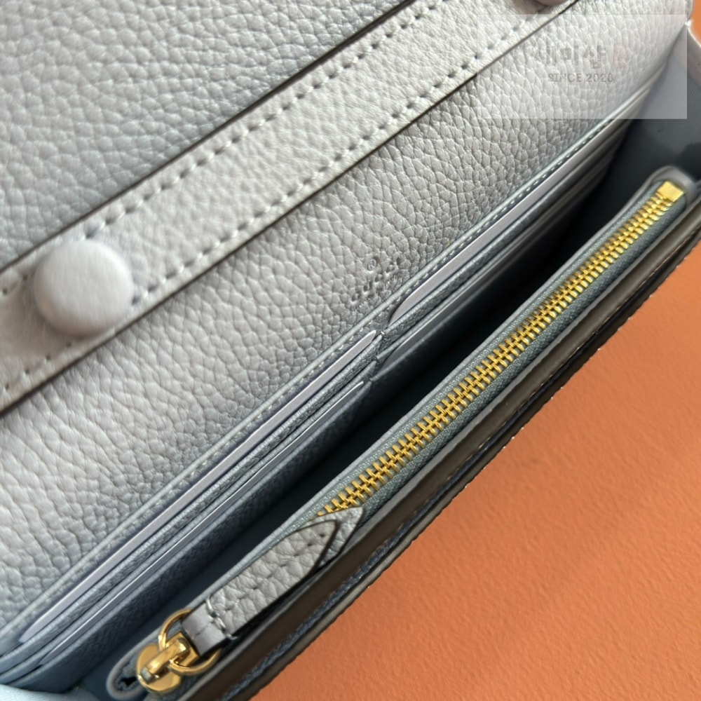 Gucci Gucci Dionysus Wallet On Chain Bag 29번 이미지
