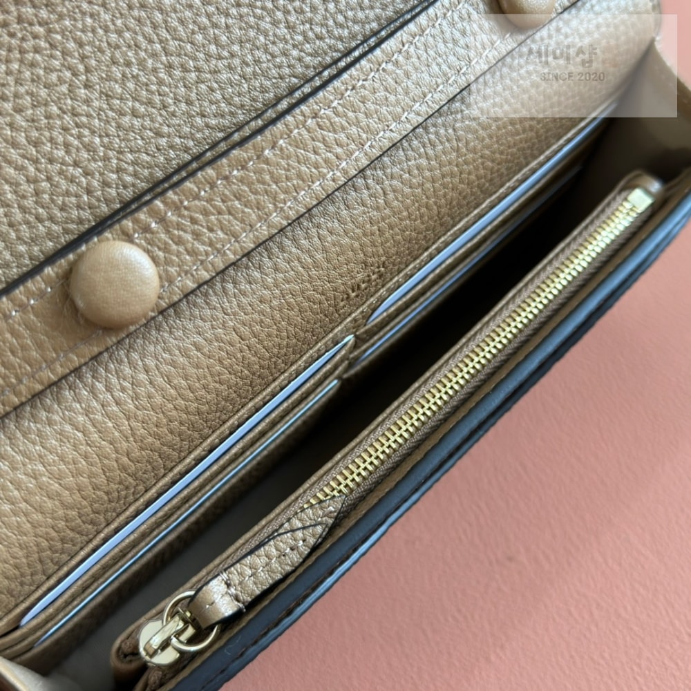 Gucci Gucci Dionysus Wallet On Chain Bag 36번 이미지