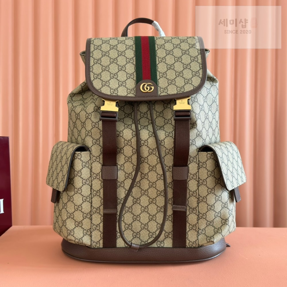 Gucci Gucci Ophidia Backpack Bag 1번 이미지