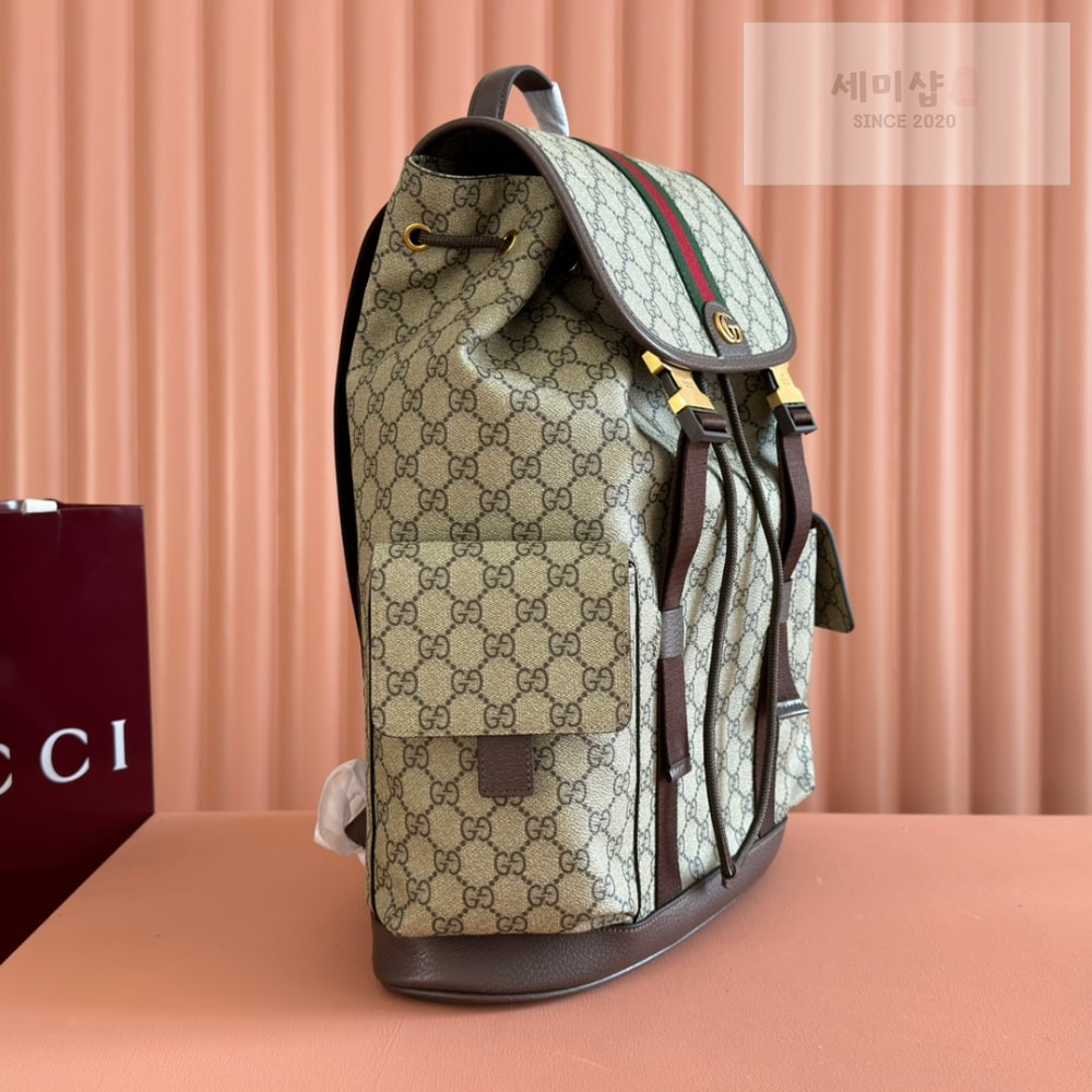 Gucci Gucci Ophidia Backpack Bag 3번 이미지