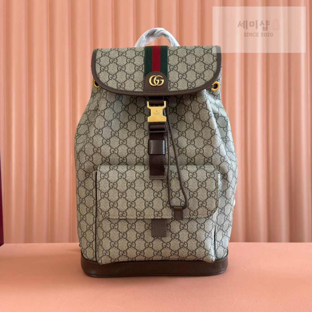 Gucci Gucci Ophidia Backpack Bag 1번 이미지
