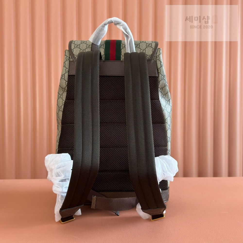 Gucci Gucci Ophidia Backpack Bag 2번 이미지