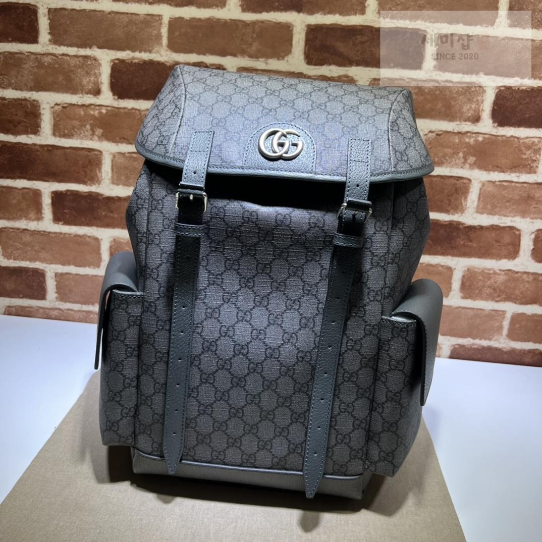 Gucci Gucci Ophidia GG Medium BackPack Bag 1번 이미지