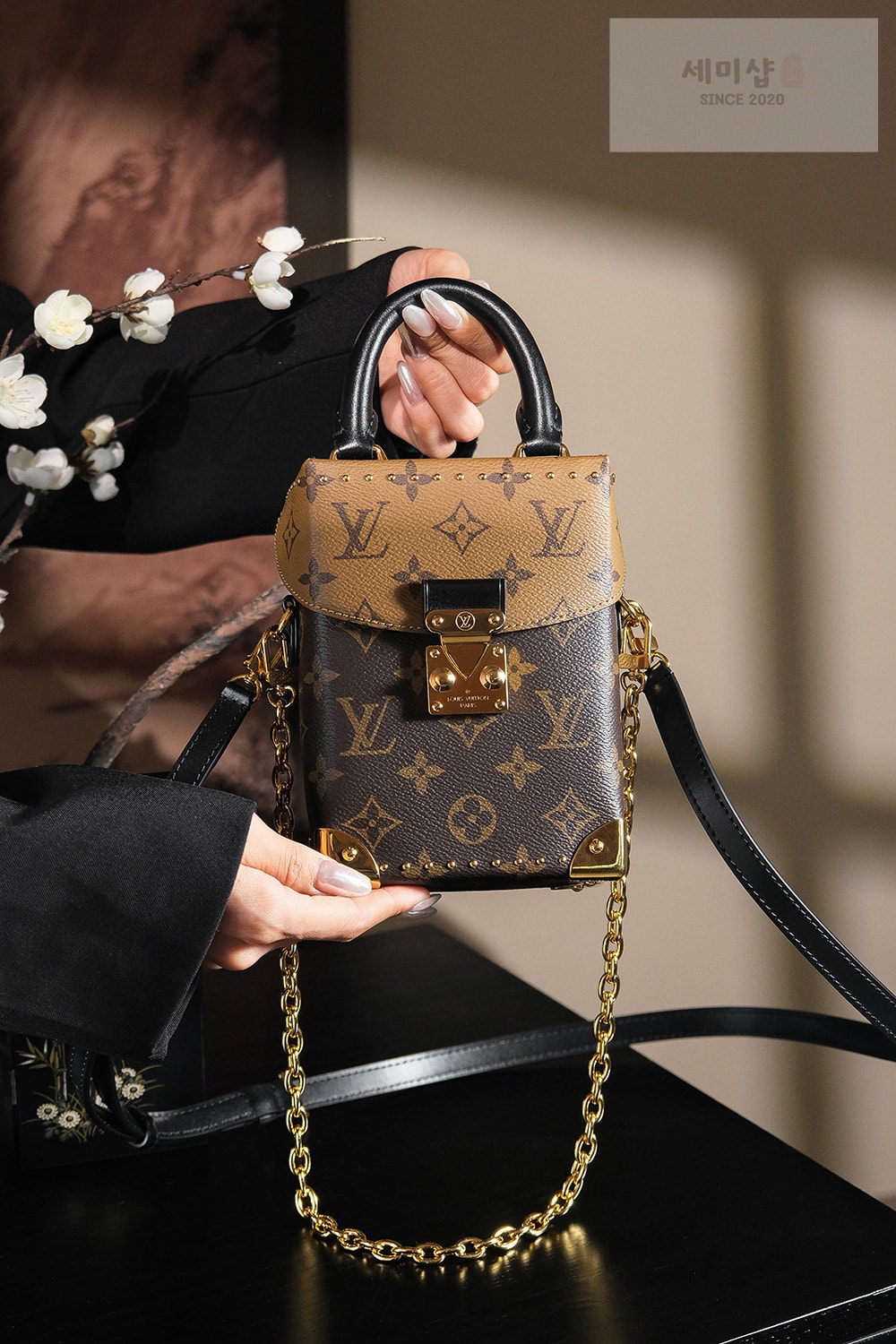 루이비통 루이비통 카메라 박스 모노그램 리버스 Bag 1번 이미지