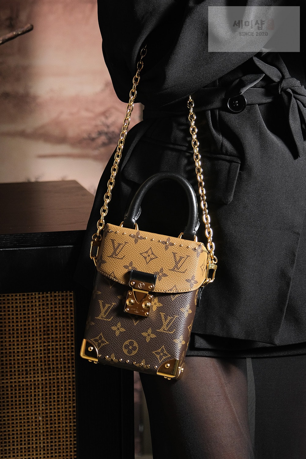 루이비통 루이비통 카메라 박스 모노그램 리버스 Bag 18번 이미지