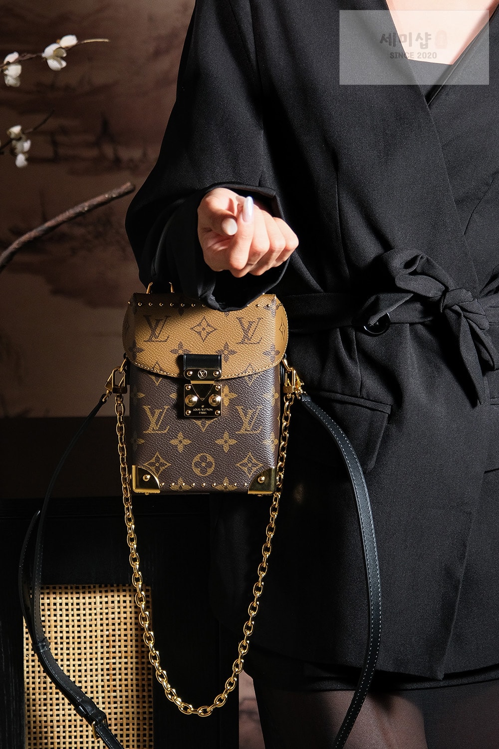 루이비통 루이비통 카메라 박스 모노그램 리버스 Bag 19번 이미지