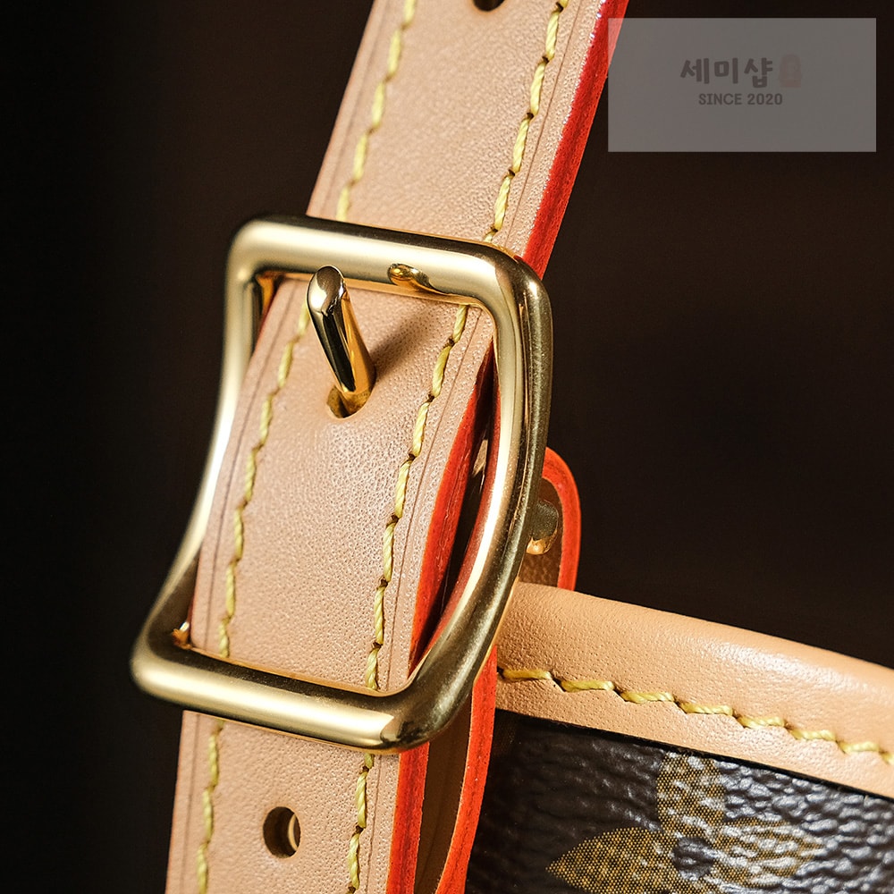 루이비통 루이비통 캐리올 PM 모노그램 모노그램 캔버스 Bag 8번 이미지