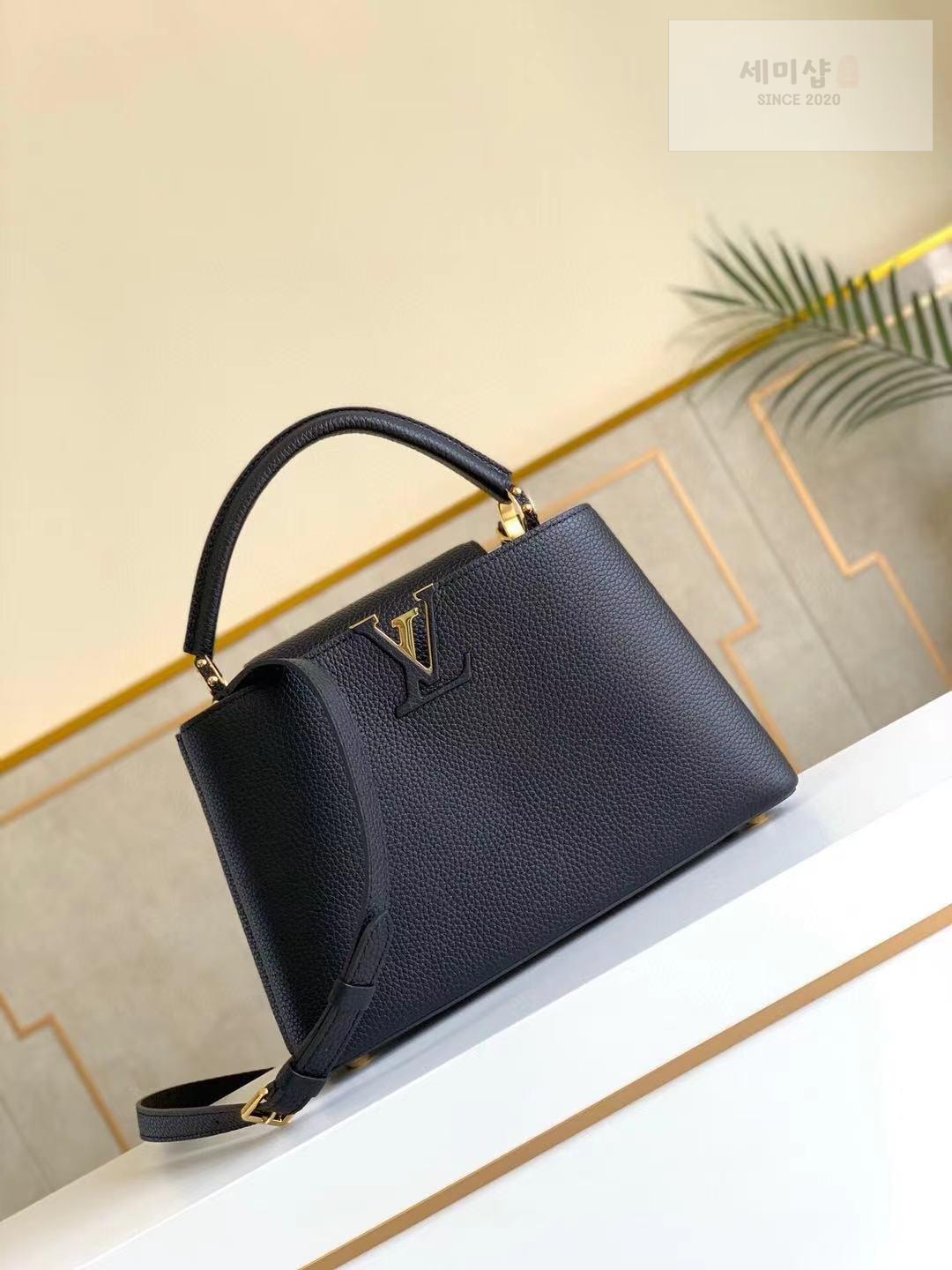 Louis Vuitton Louis Vuitton Capucine BB Bag 14번 이미지