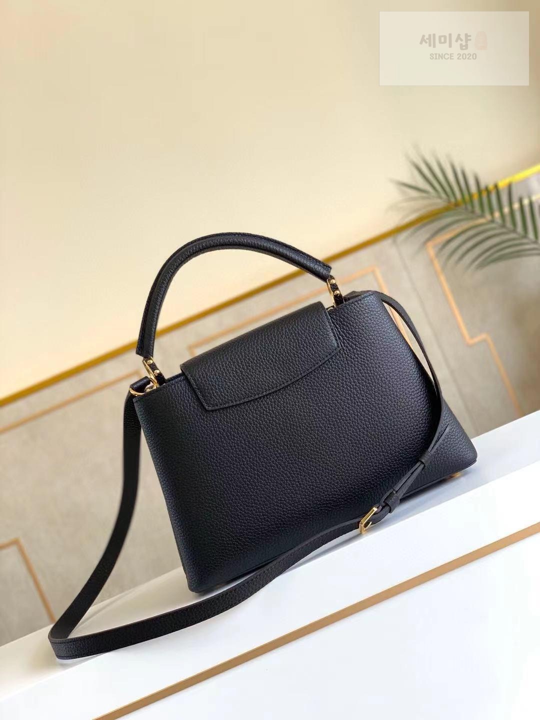 Louis Vuitton Louis Vuitton Capucine BB Bag 15번 이미지