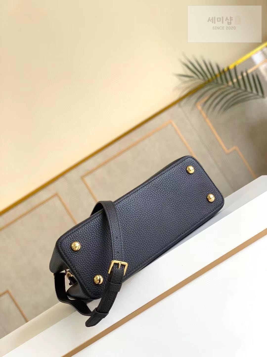 Louis Vuitton Louis Vuitton Capucine BB Bag 2번 이미지
