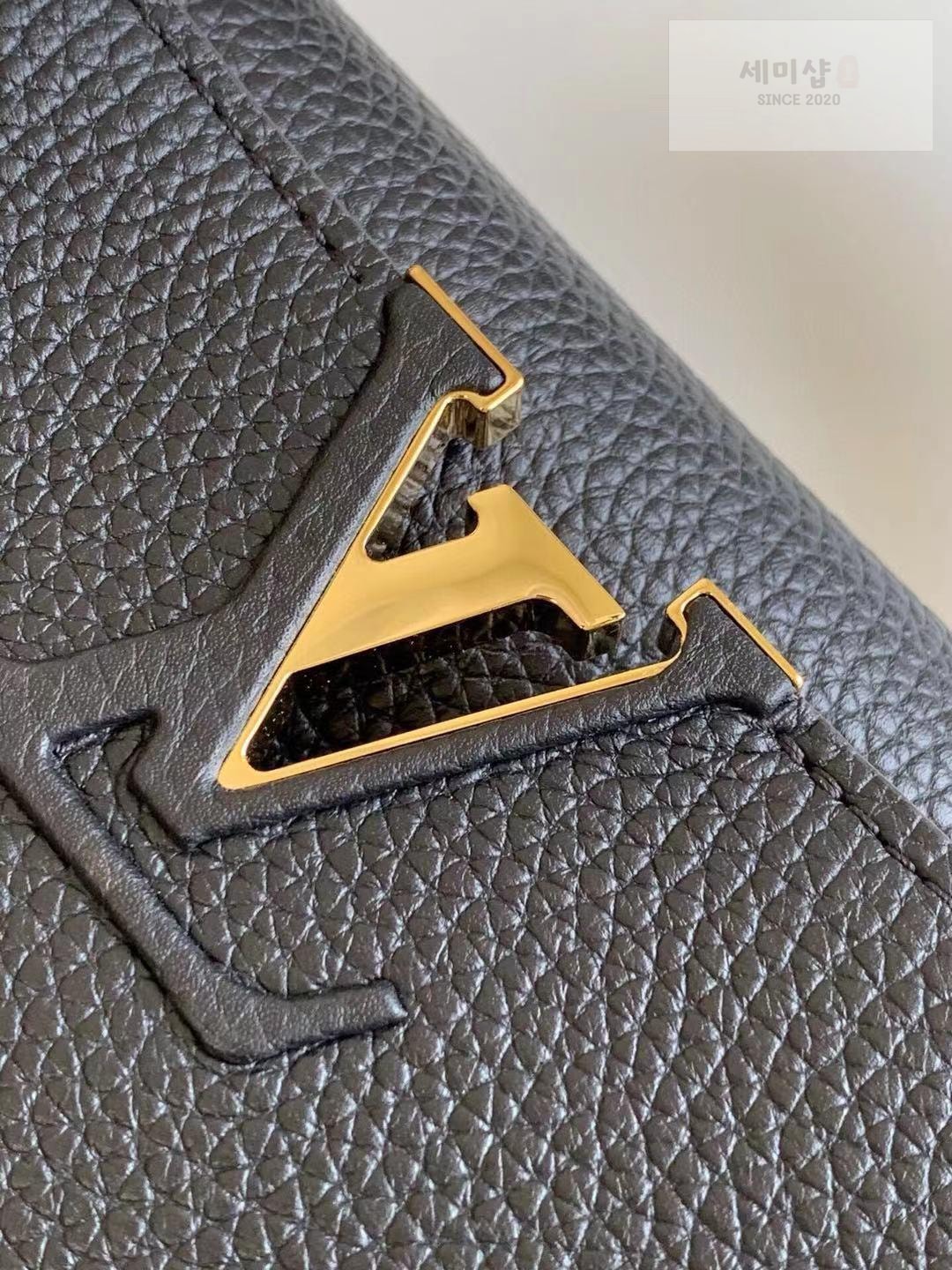 Louis Vuitton Louis Vuitton Capucine BB Bag 3번 이미지