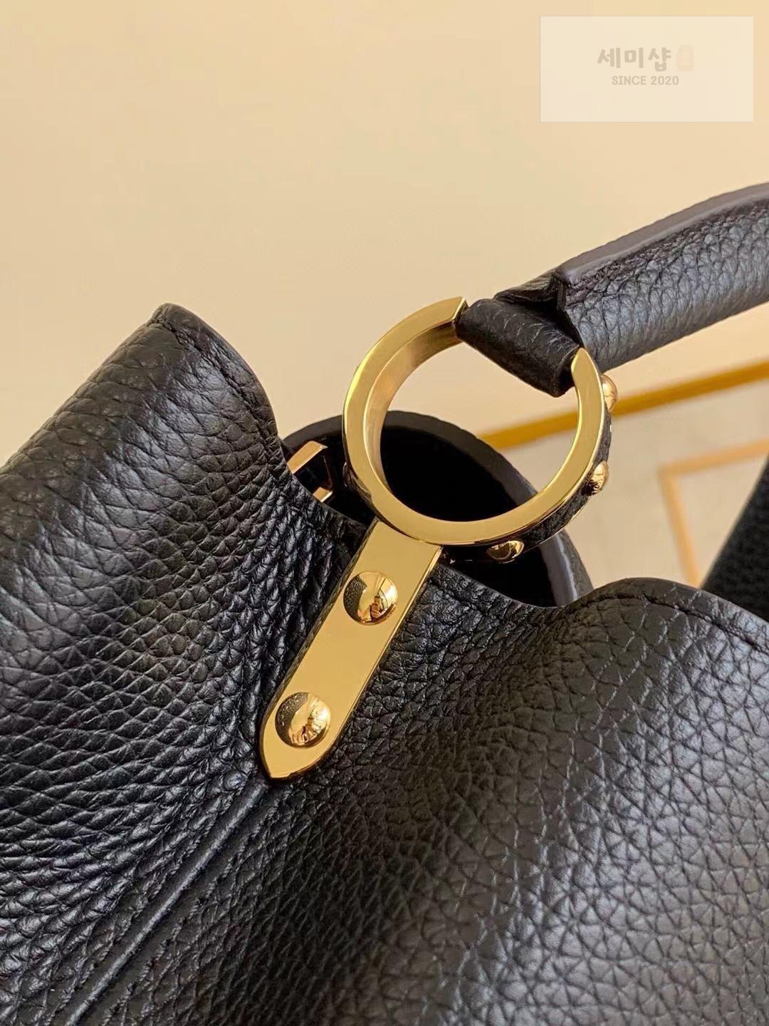 Louis Vuitton Louis Vuitton Capucine BB Bag 4번 이미지