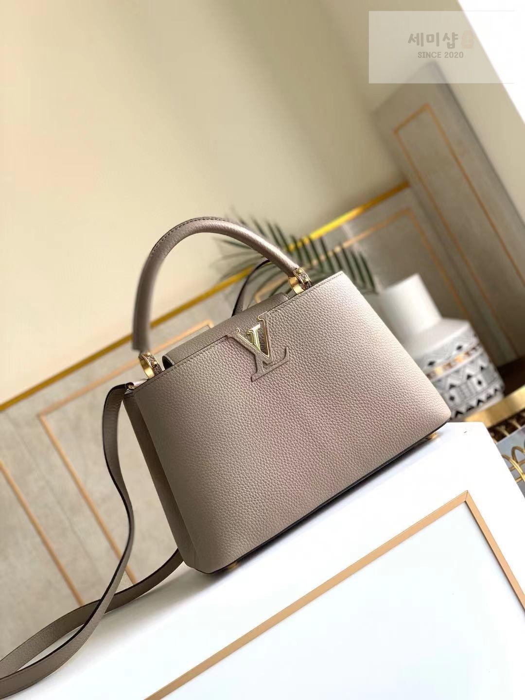 Louis Vuitton Louis Vuitton Capucine BB Bag 7번 이미지