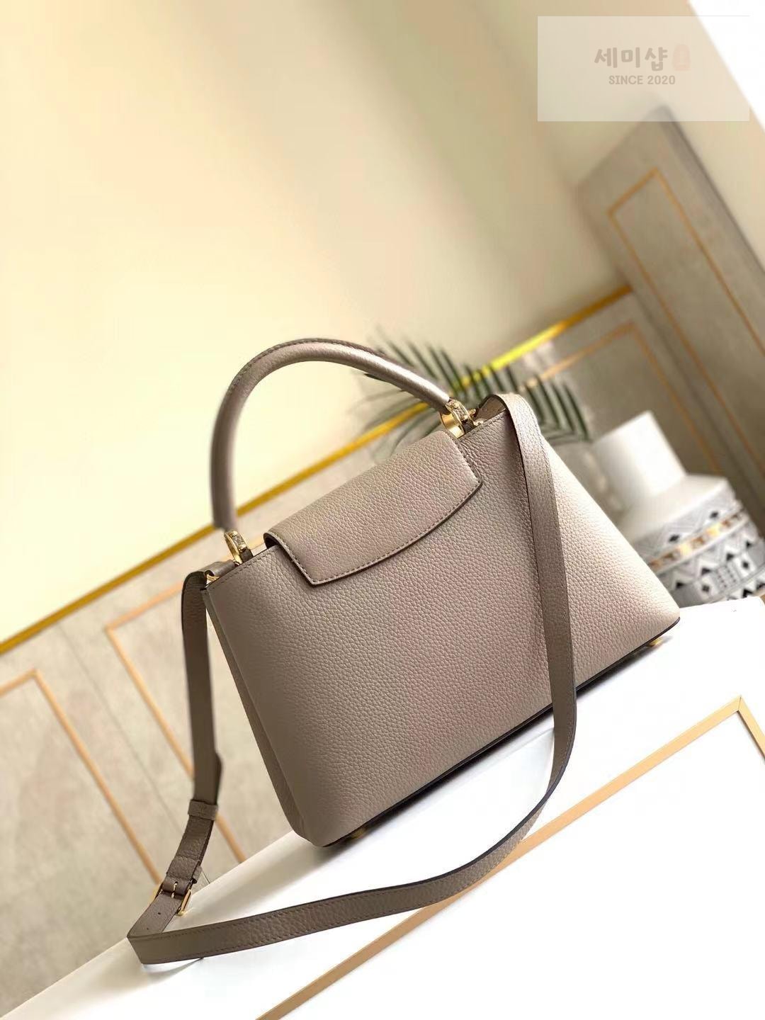 Louis Vuitton Louis Vuitton Capucine BB Bag 16번 이미지