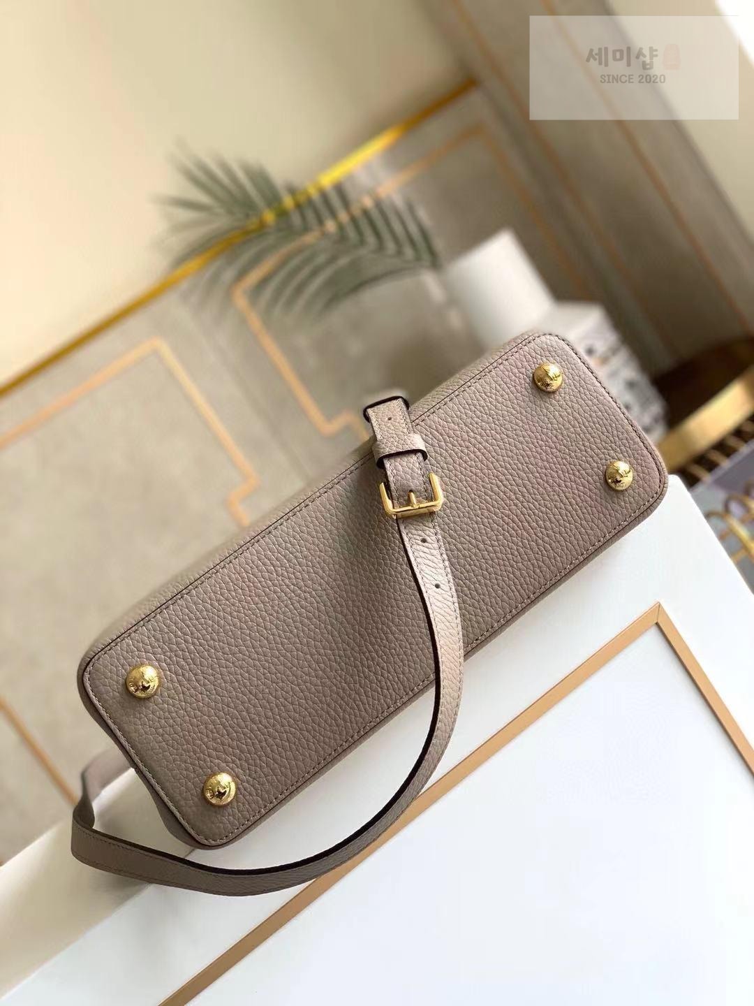 Louis Vuitton Louis Vuitton Capucine BB Bag 9번 이미지