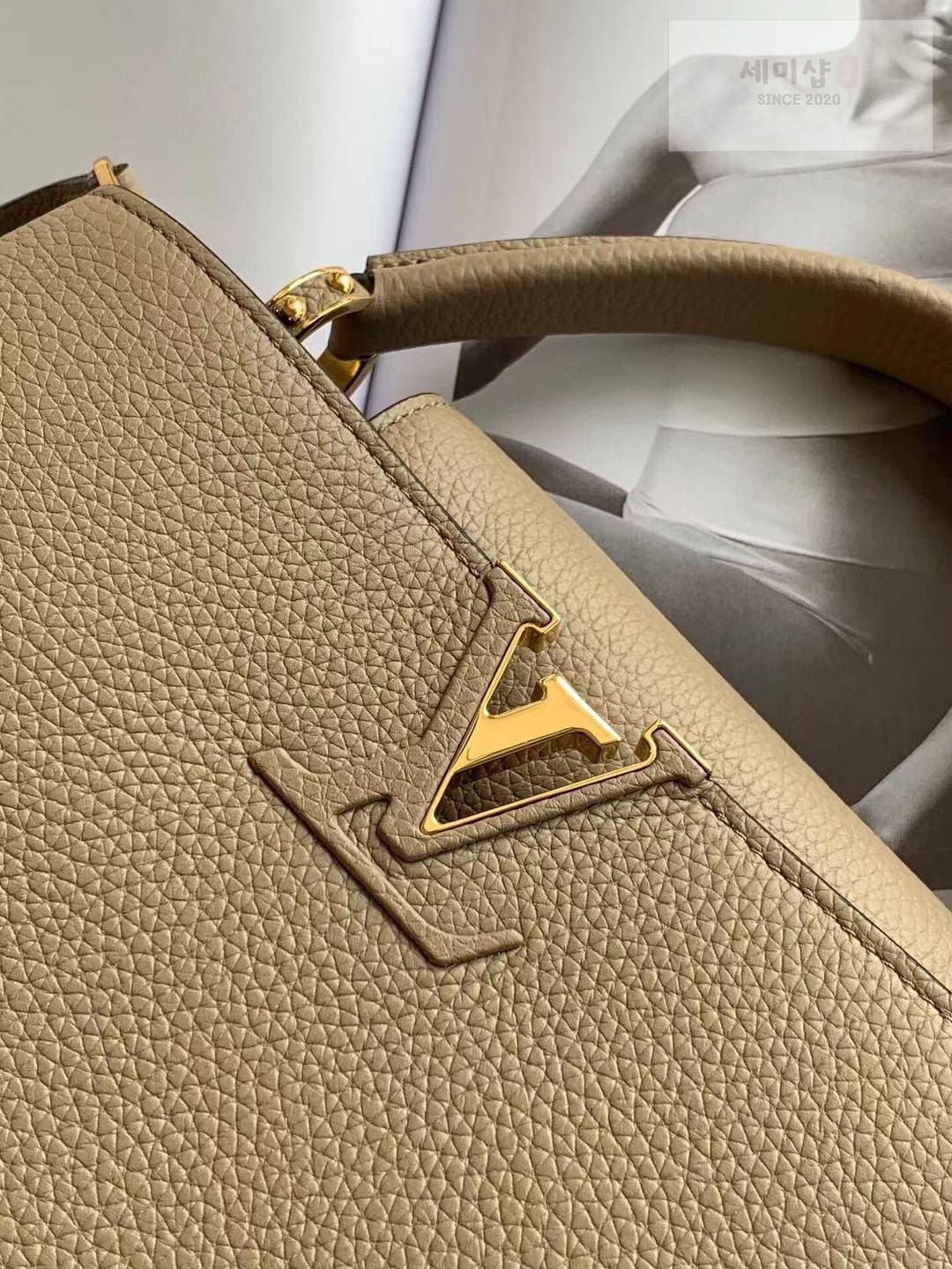 Louis Vuitton Louis Vuitton Capucine BB Bag 10번 이미지