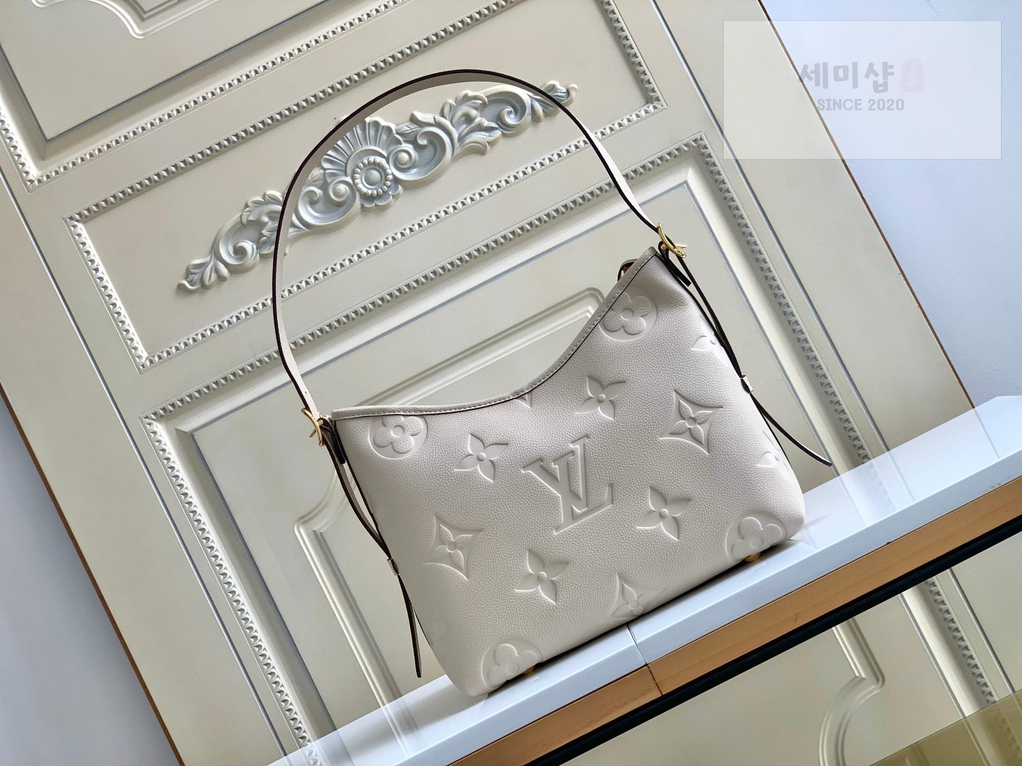 Louis Vuitton Louis Vuitton Carry All PM Bag 1번 이미지