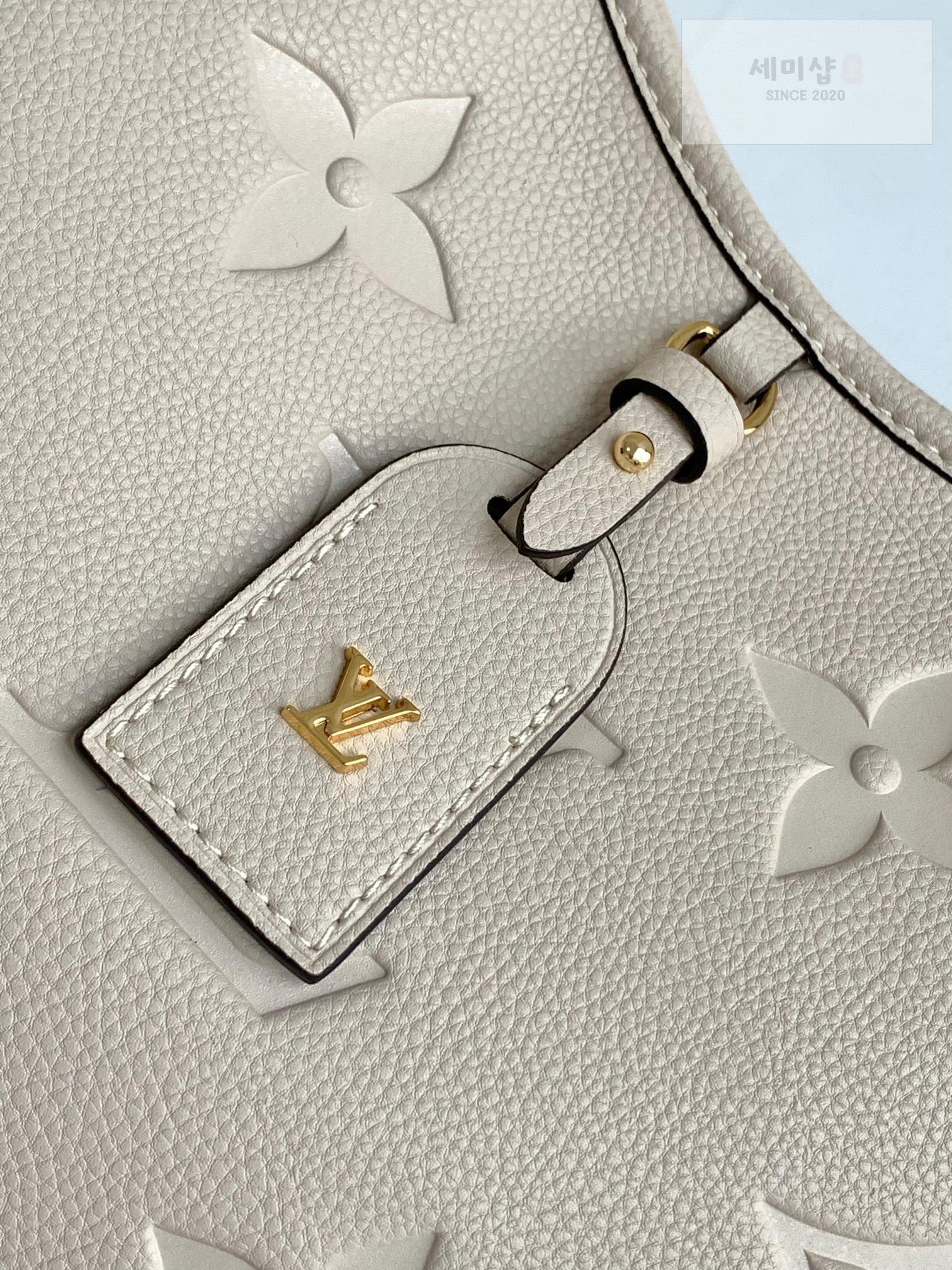 Louis Vuitton Louis Vuitton Carry All PM Bag 4번 이미지