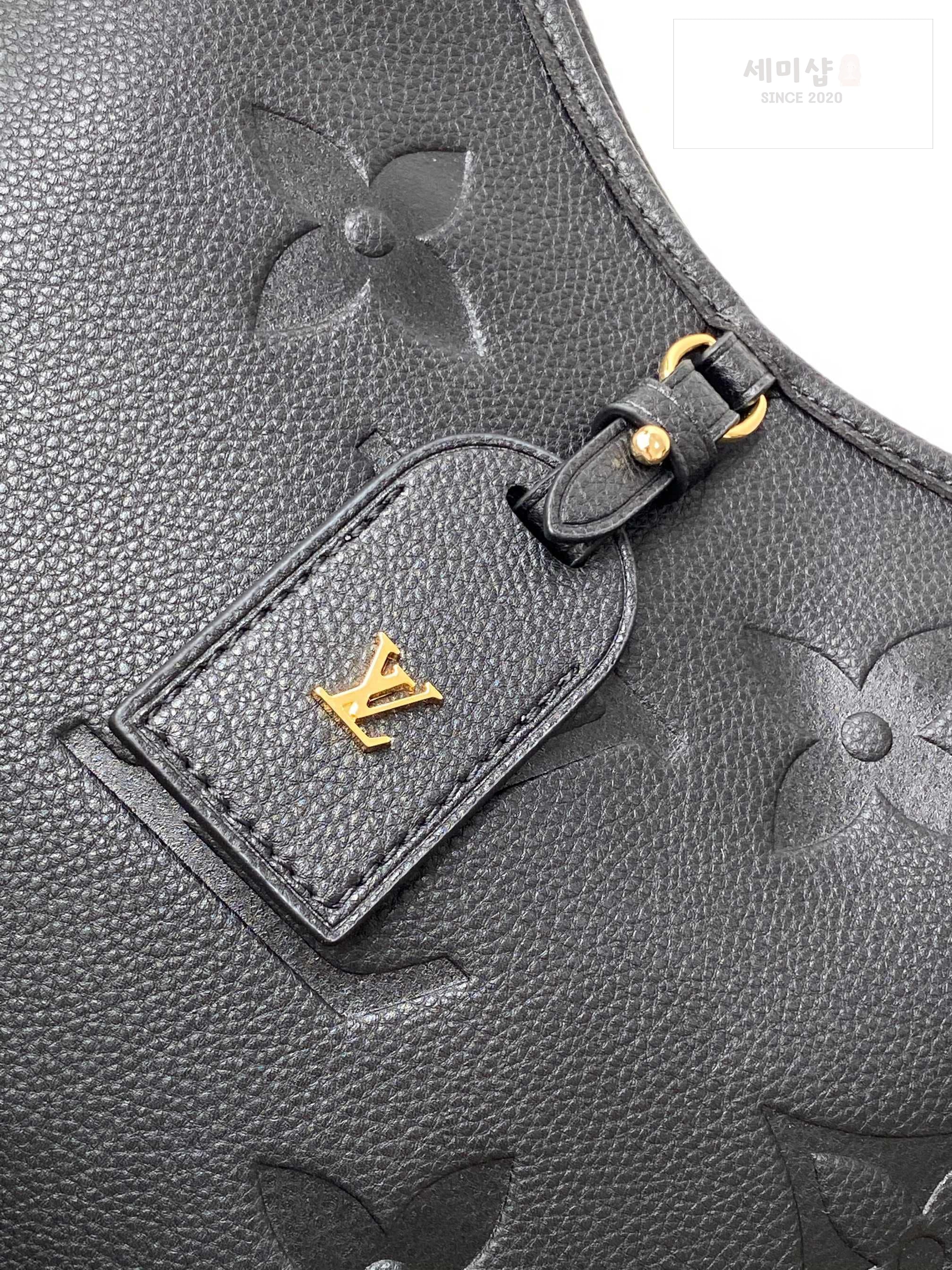 Louis Vuitton Louis Vuitton Carry All PM Bag 12번 이미지