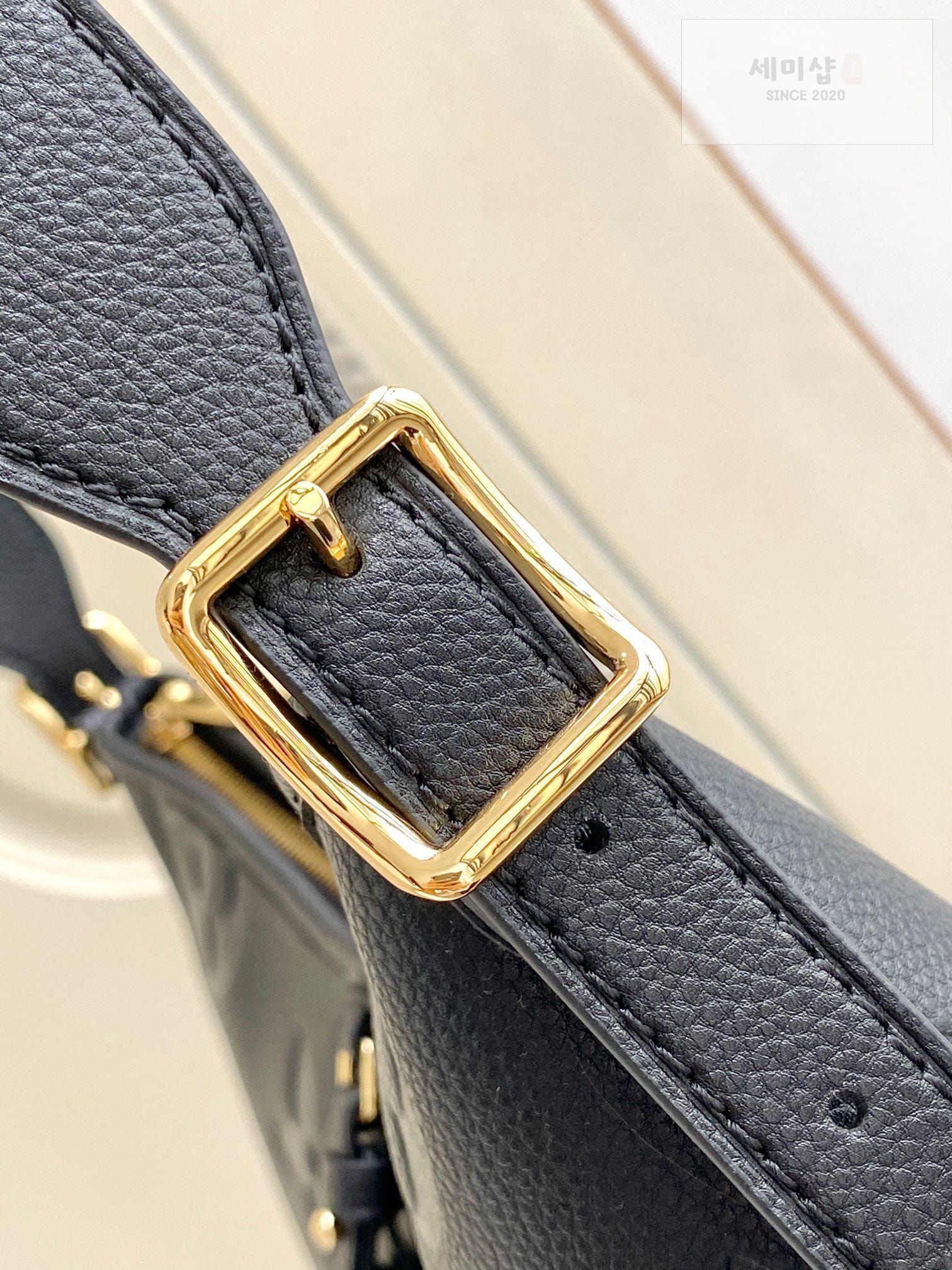 Louis Vuitton Louis Vuitton Carry All PM Bag 14번 이미지