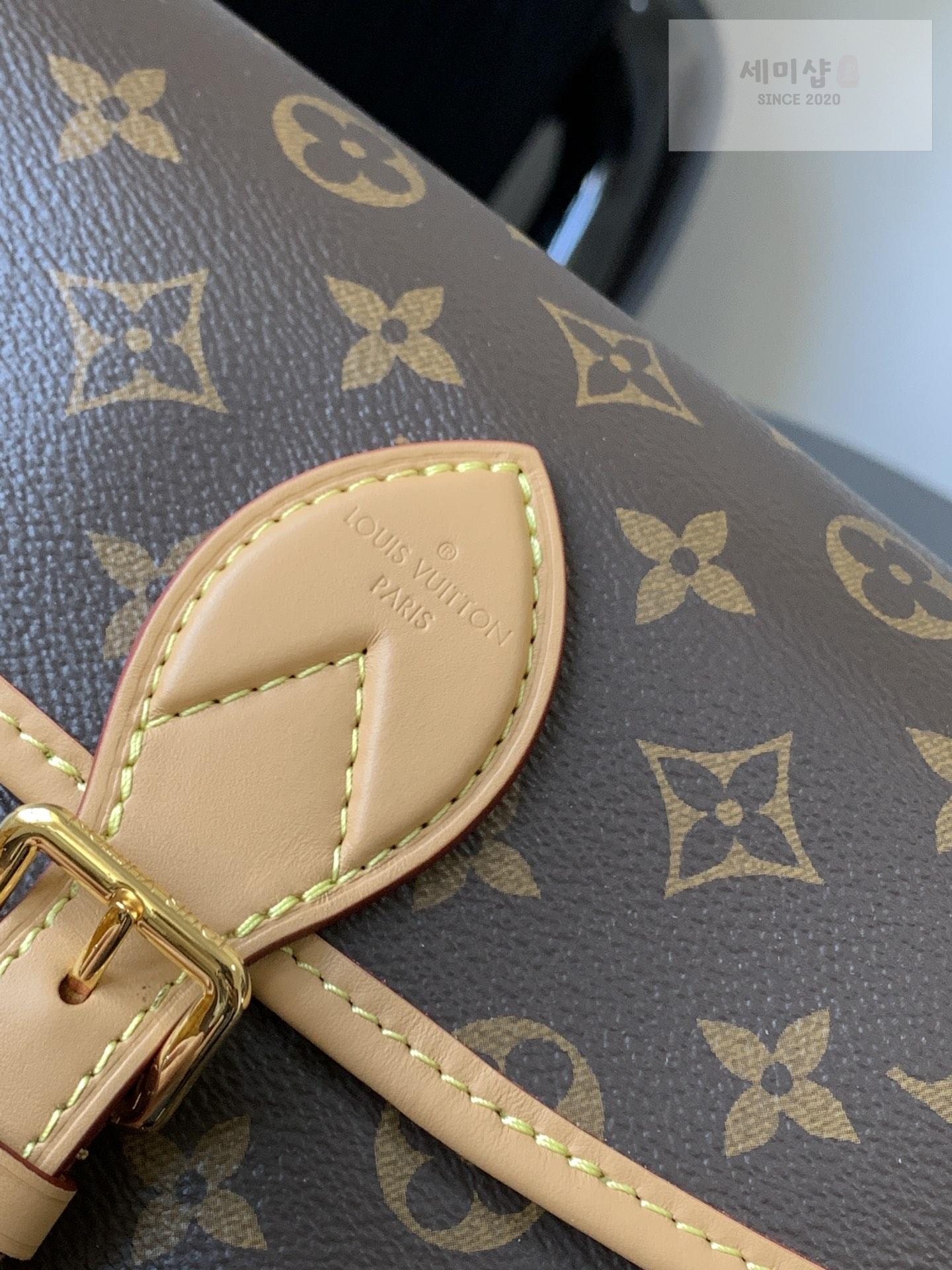 Louis Vuitton Louis Vuitton Diane Monogram Bag 3번 이미지