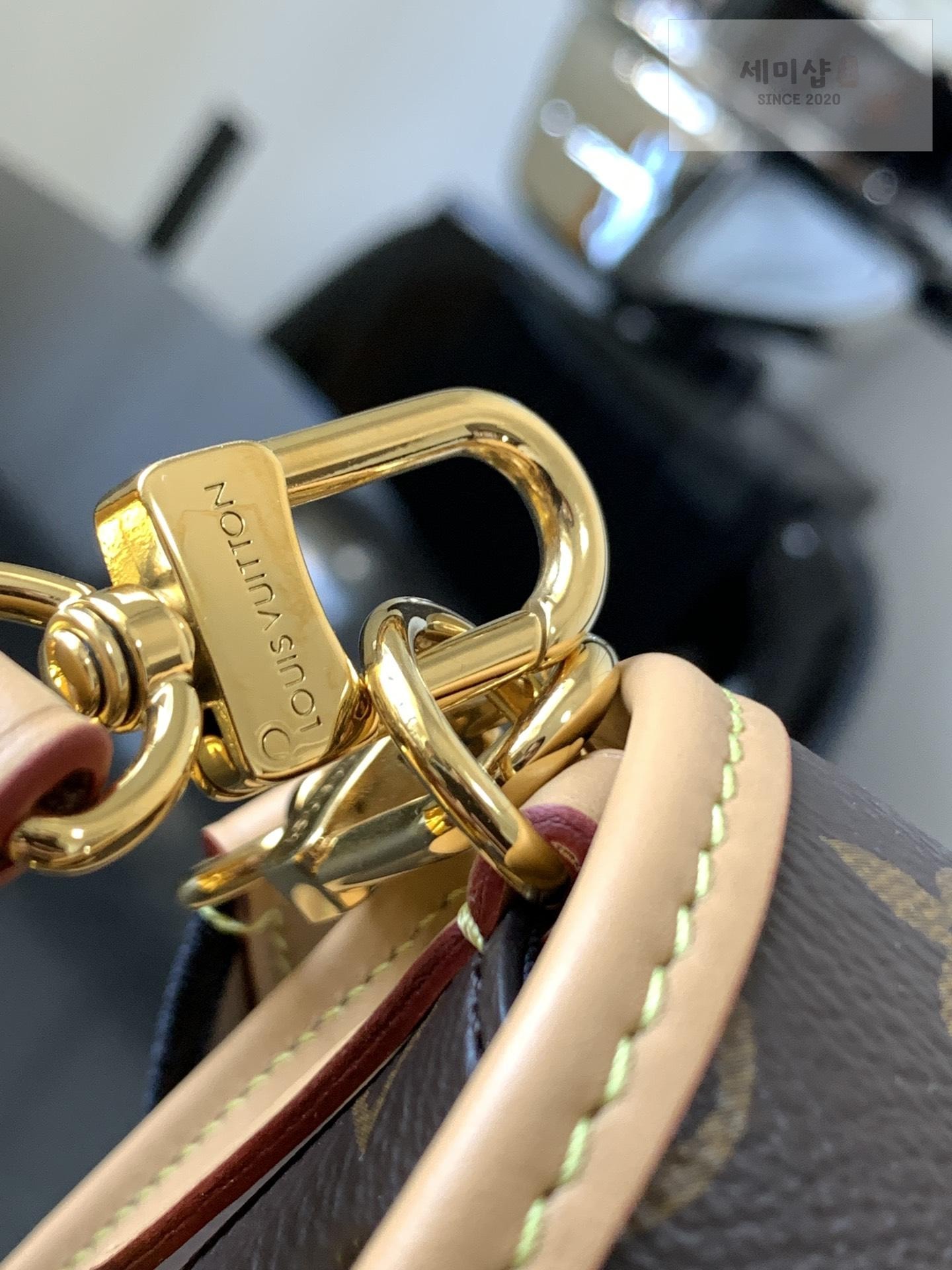 Louis Vuitton Louis Vuitton Diane Monogram Bag 4번 이미지