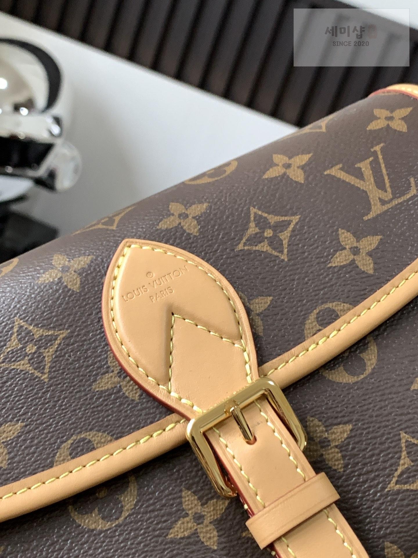 Louis Vuitton Louis Vuitton Diane Monogram Bag 11번 이미지