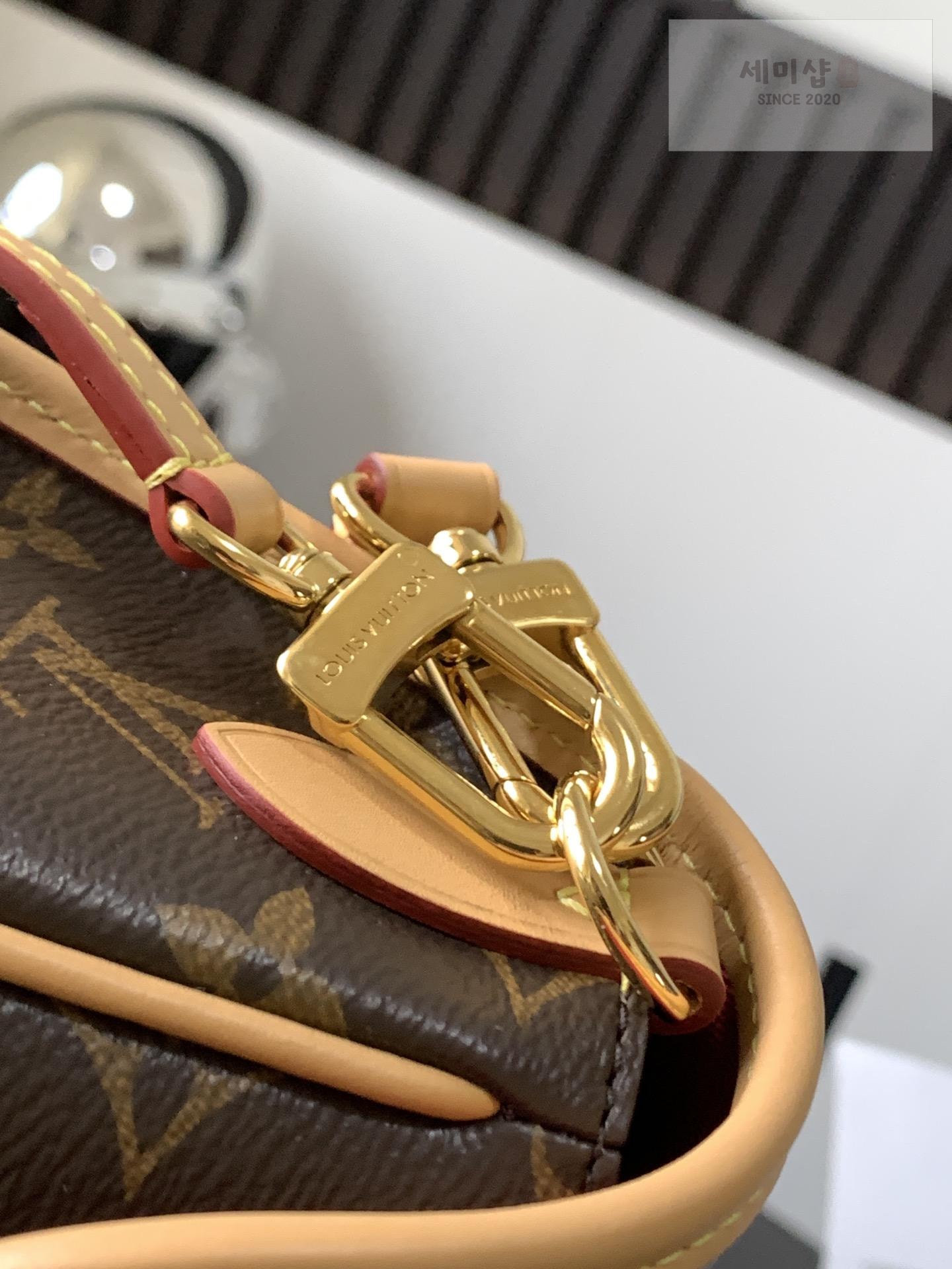 Louis Vuitton Louis Vuitton Diane Monogram Bag 12번 이미지